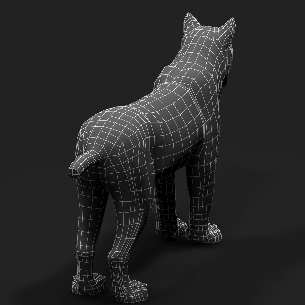 Bobcat Animal 3D Model Wireframe Vew 0