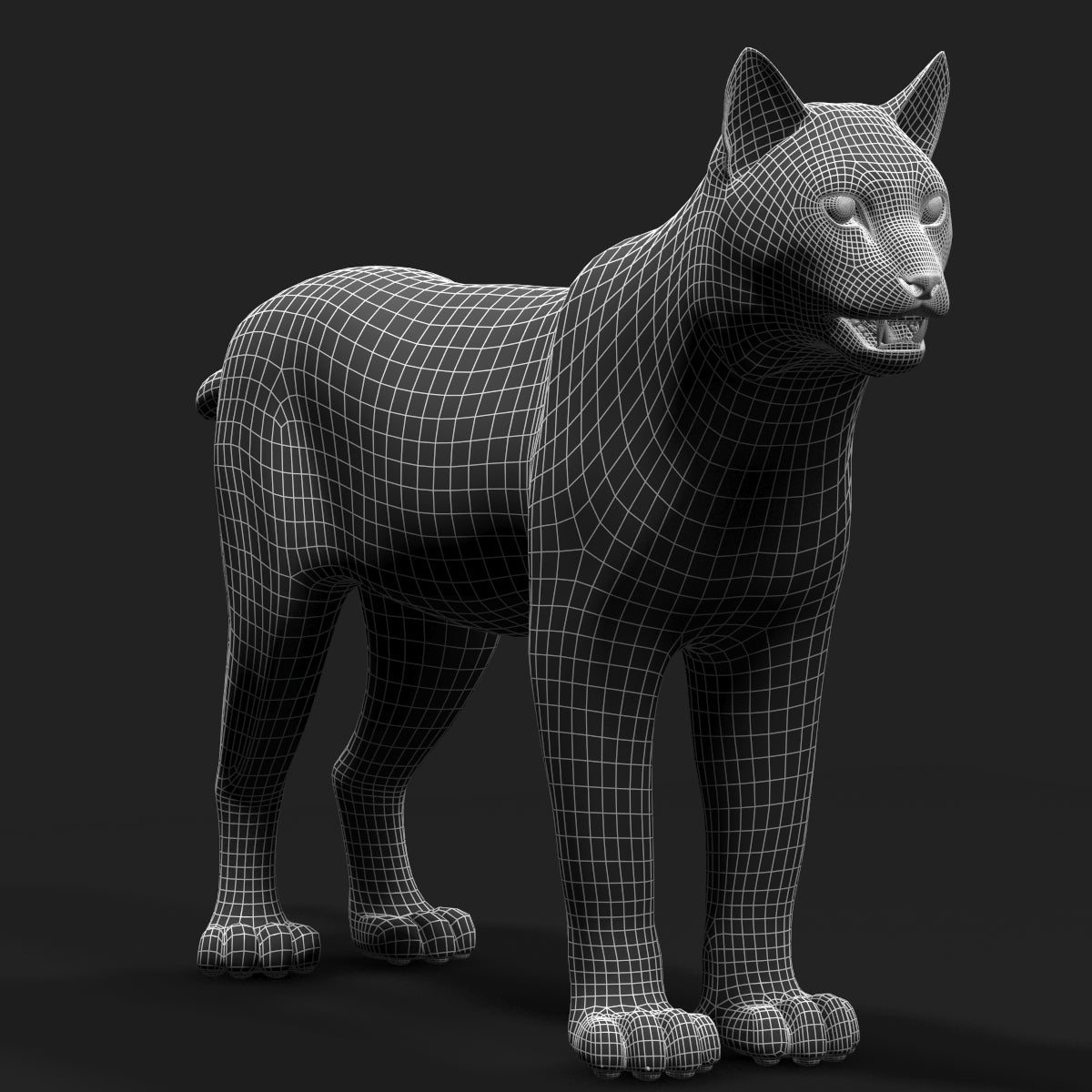 Bobcat Animal 3D Model Wireframe Vew 1