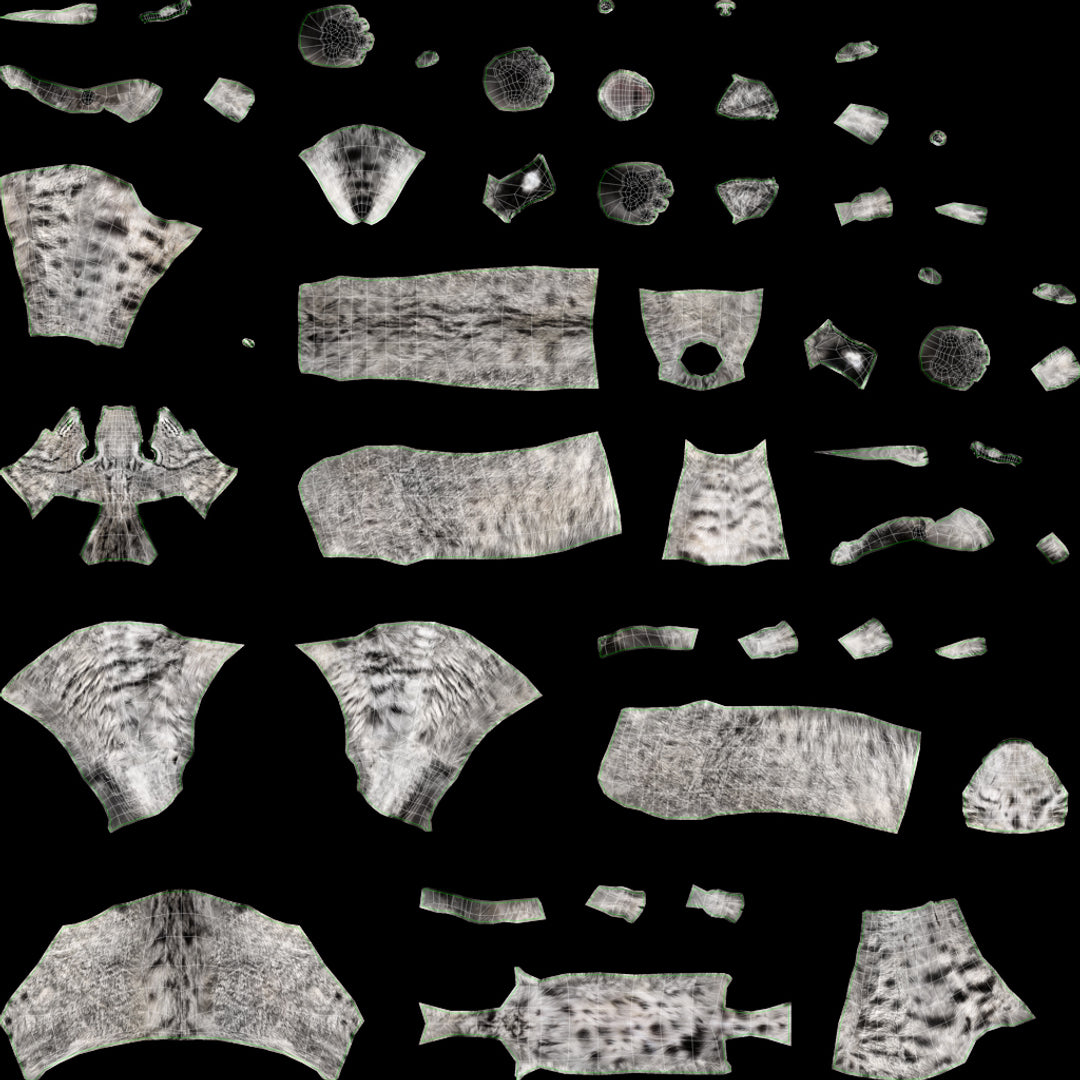 Bobcat 3D Model Body UVs grey