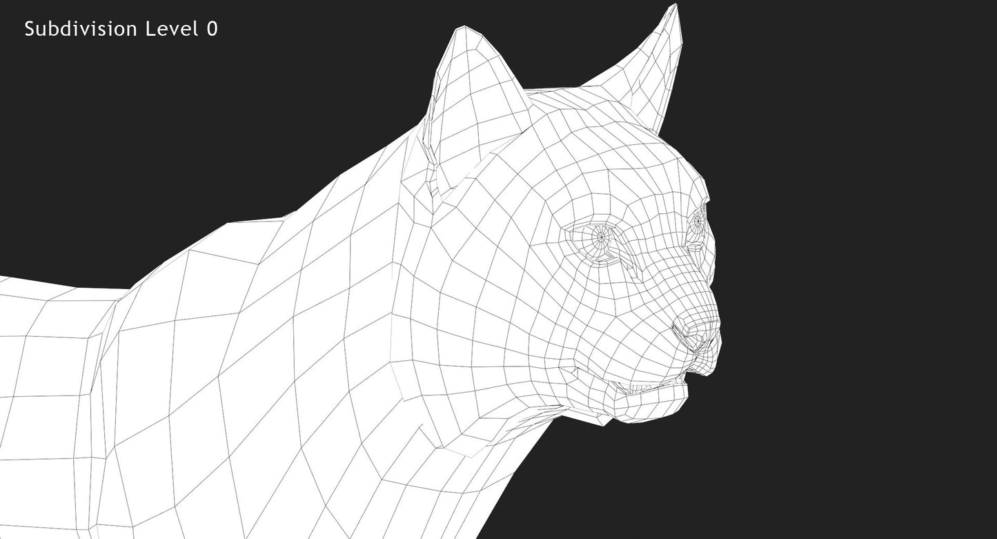 Rigged Bobcat 3D Model