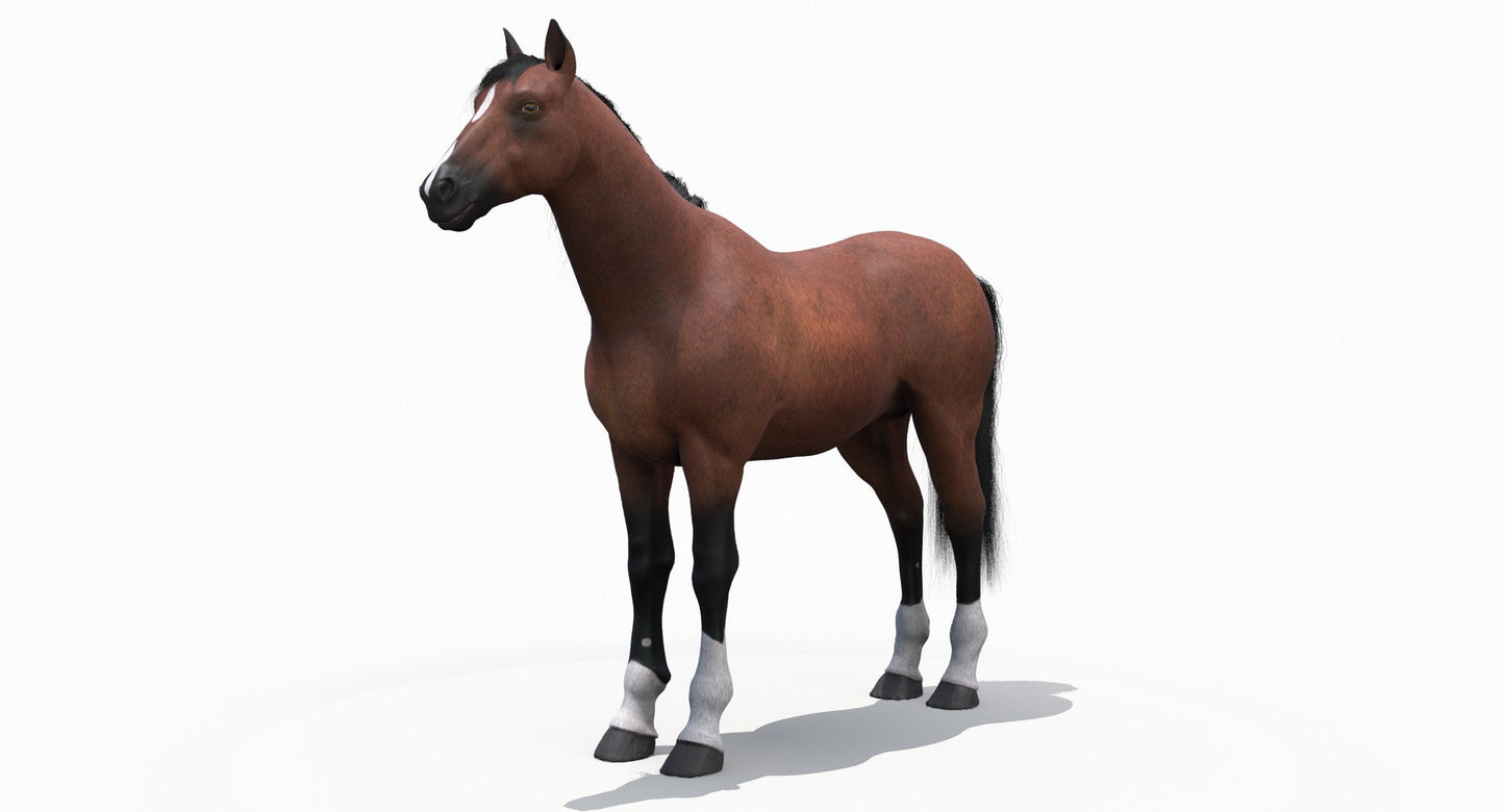 茶色の馬の3Dモデル毛皮
