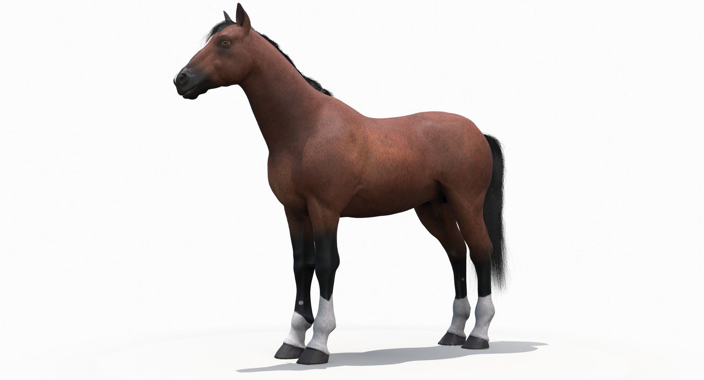 茶色の馬の3Dモデル毛皮