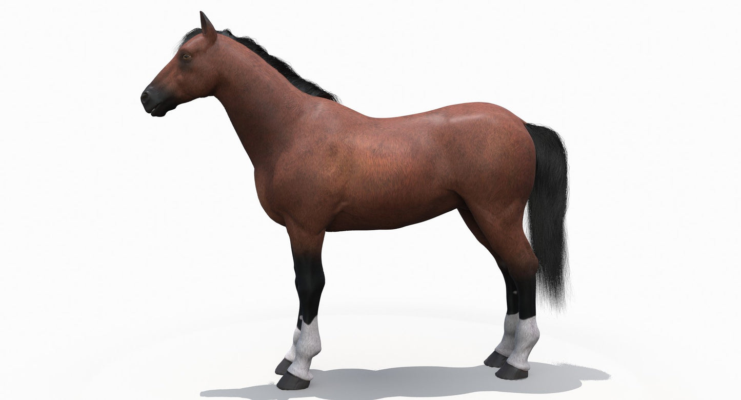 茶色の馬の3Dモデル毛皮