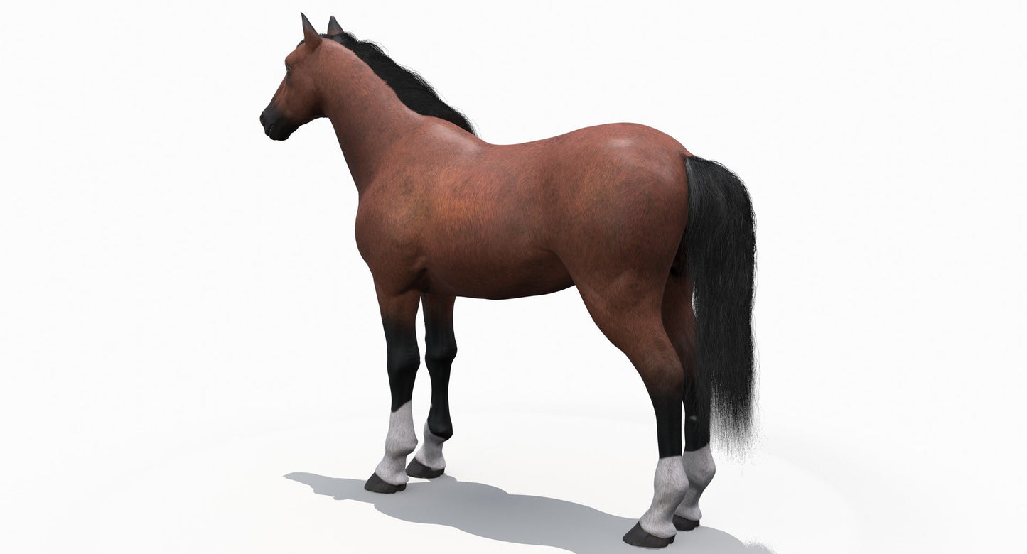 茶色の馬の3Dモデル毛皮