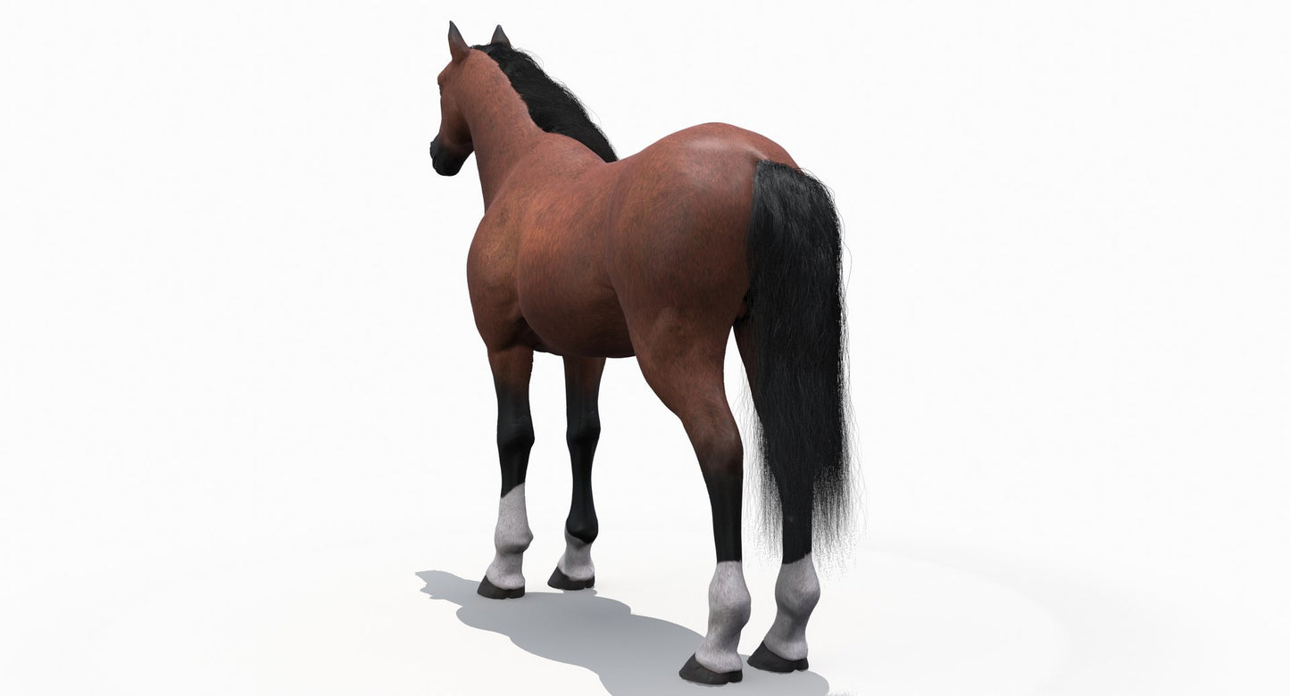 茶色の馬の3Dモデル毛皮