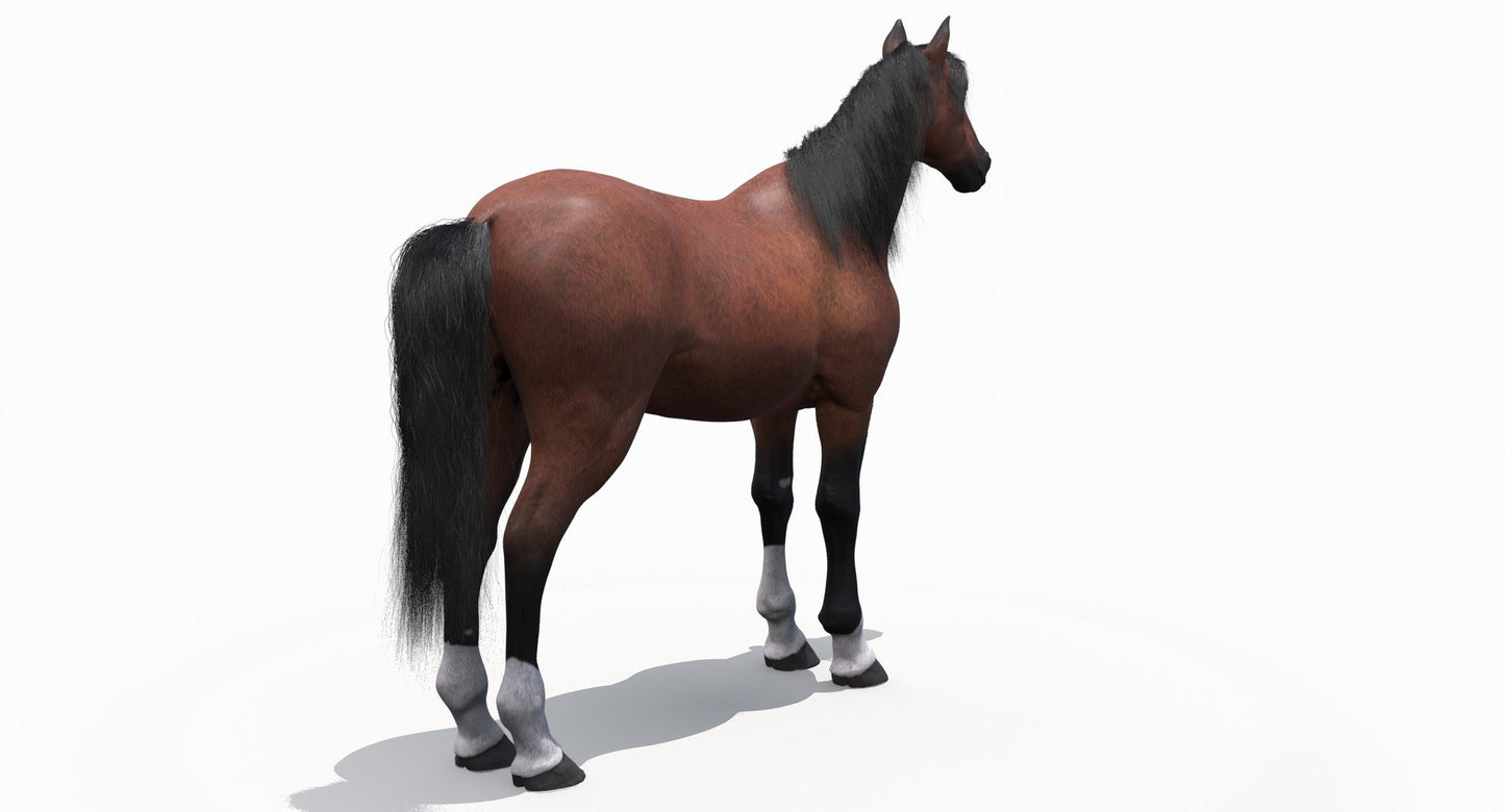 茶色の馬の3Dモデル毛皮