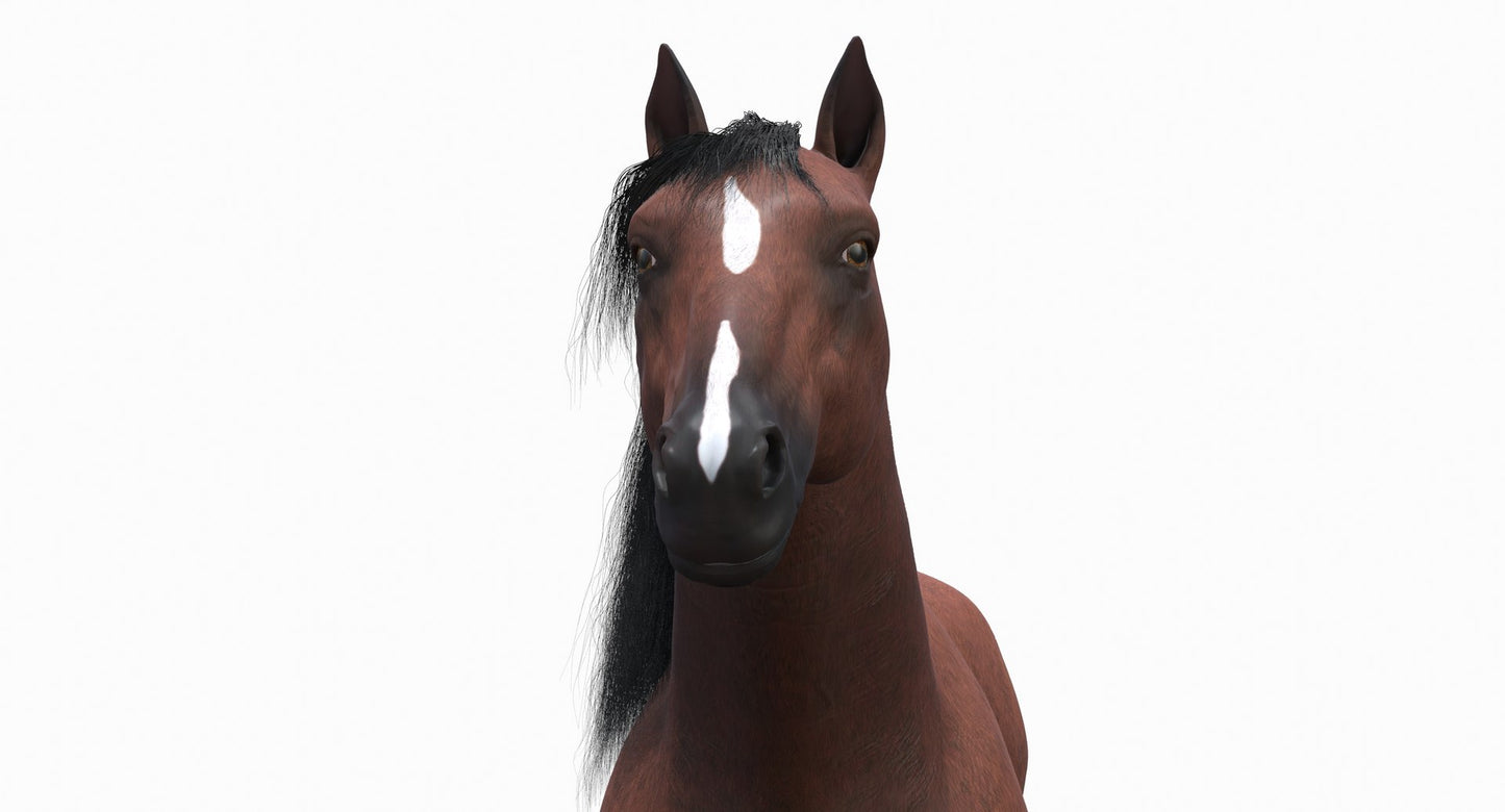 茶色の馬の3Dモデル毛皮