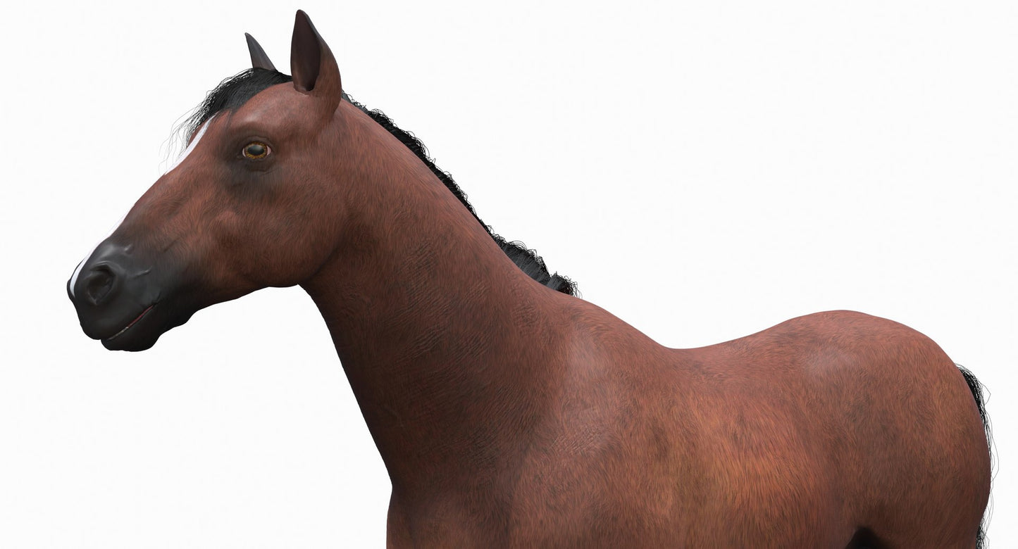 茶色の馬の3Dモデル毛皮