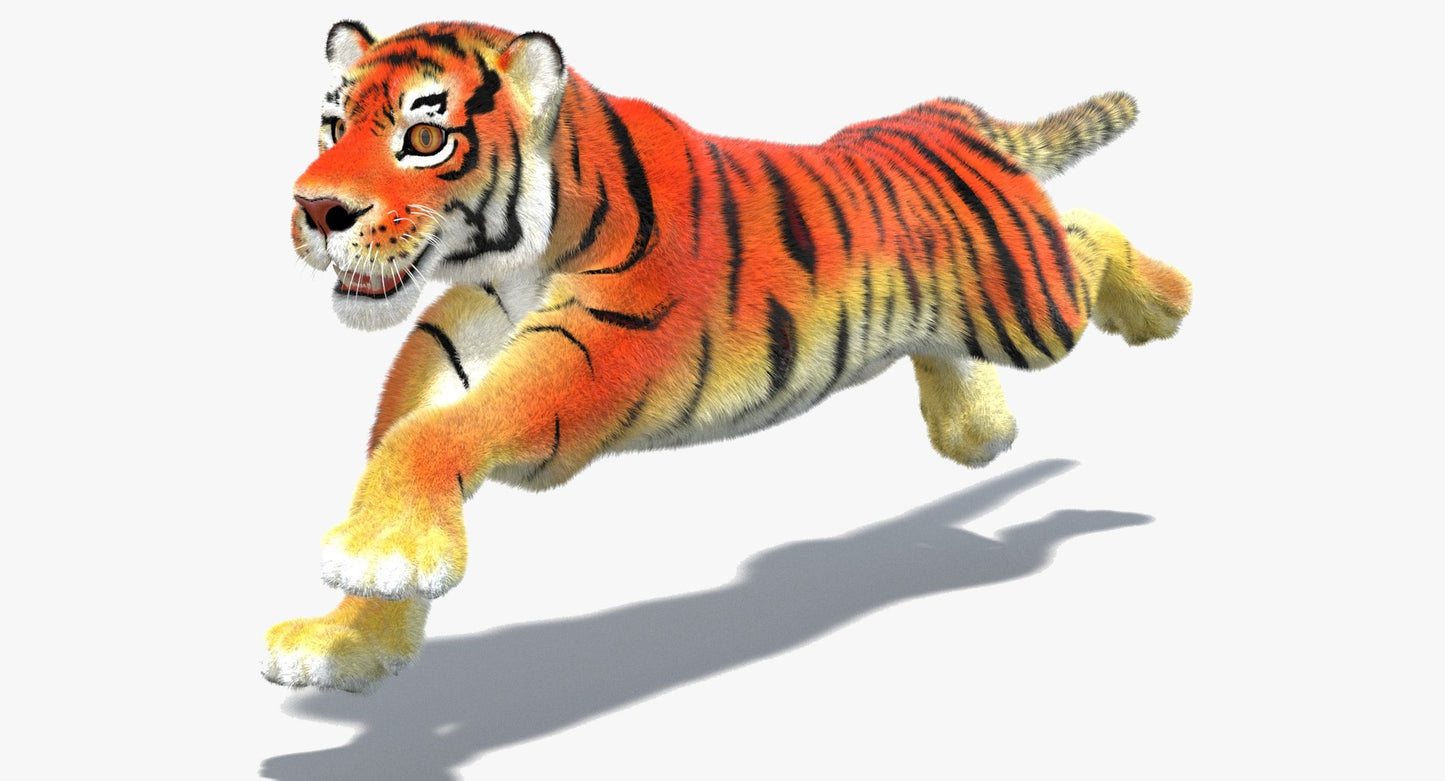 Cartoon Tiger Animated Fur 3D Model
