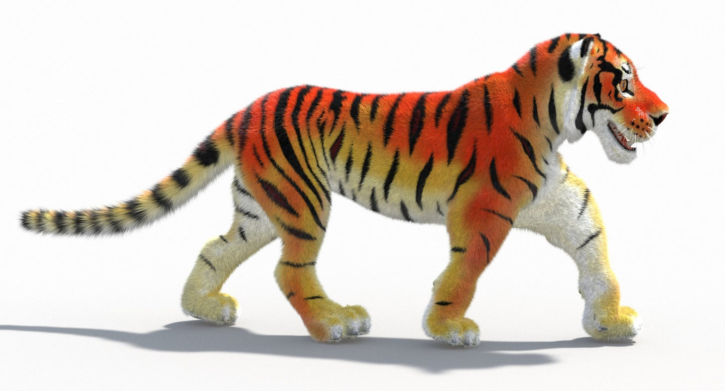 Cartoon Tiger Animated Fur 3D Model