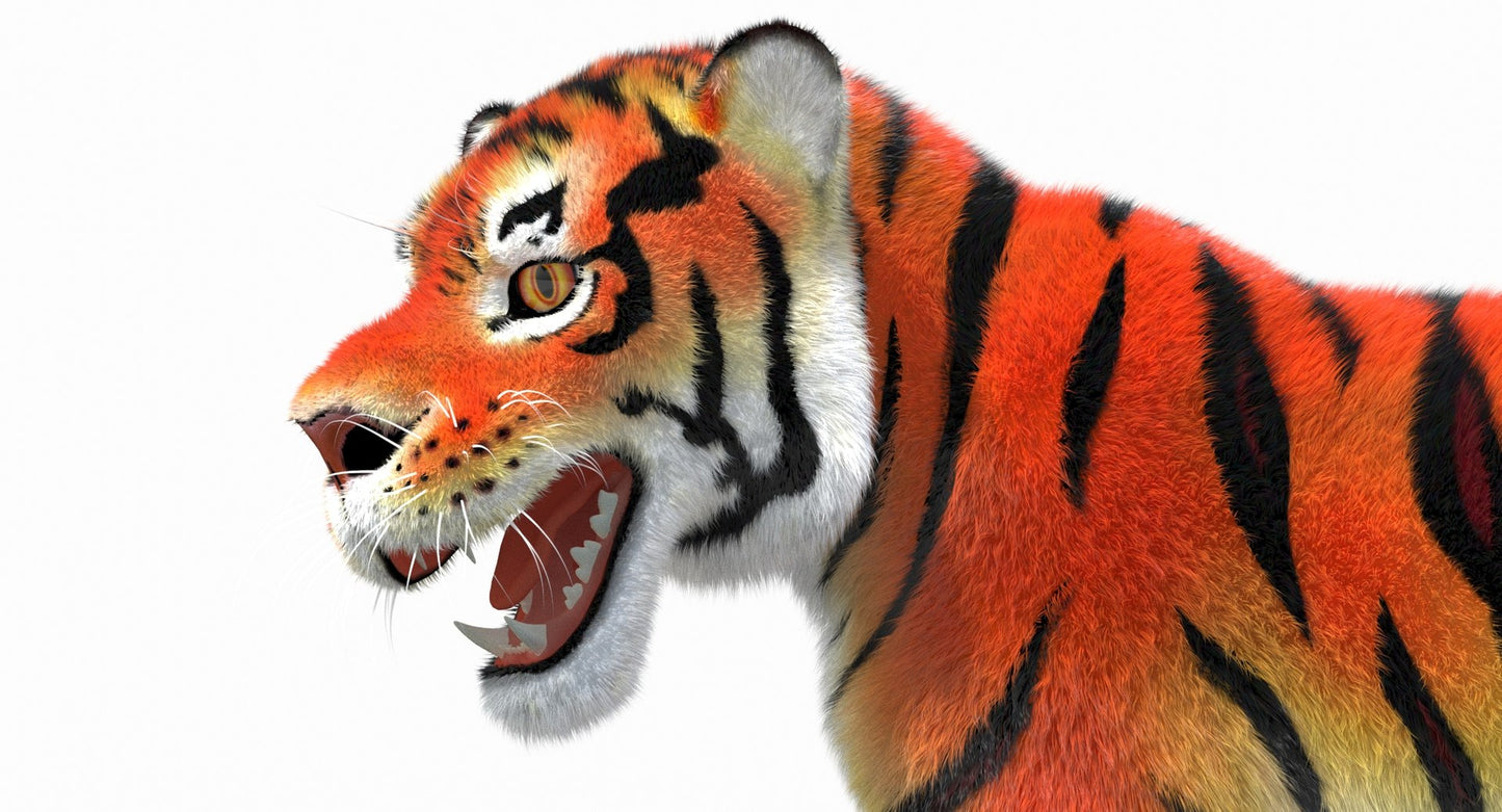 Cartoon Tiger Animated Fur 3D Model