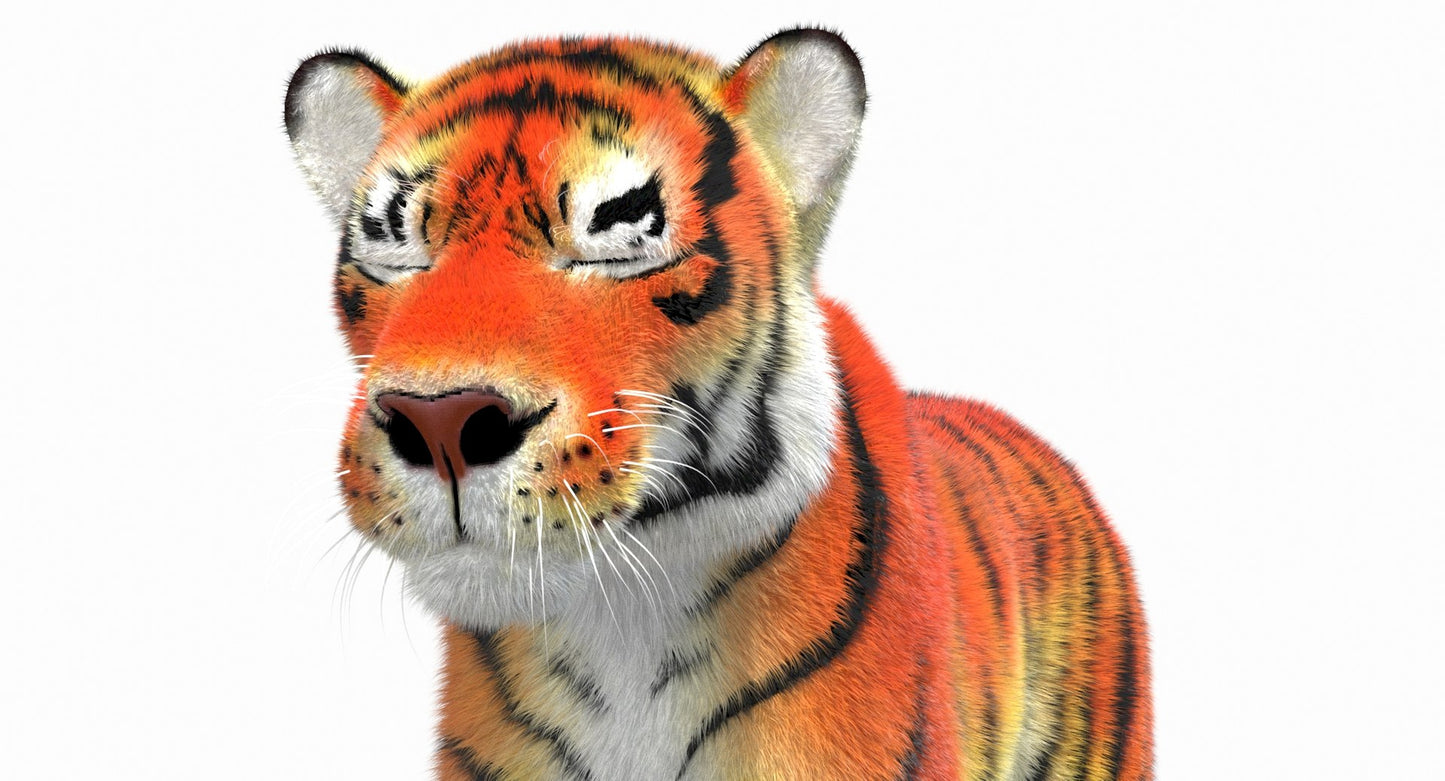 Cartoon Tiger Animated Fur 3D Model