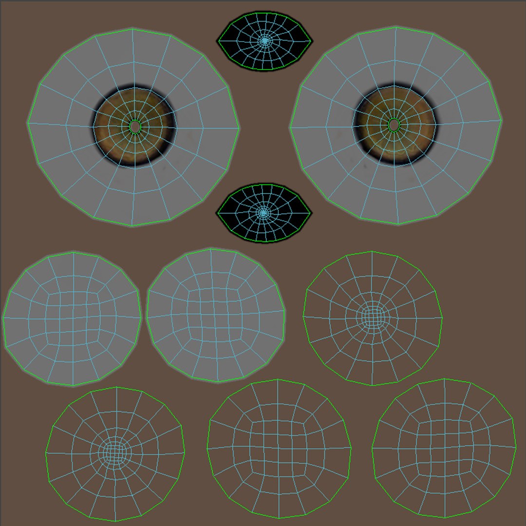 Cheetah 3D model Eyes UVs