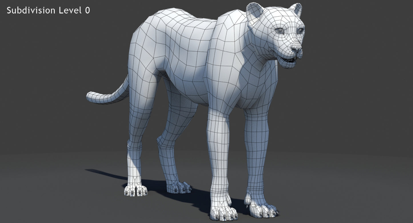 Big Cats 05 3D Model