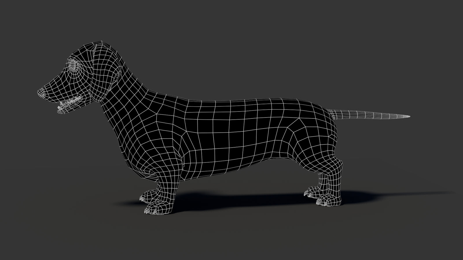 Black Dachshund Dog 3D Model 360° view 2 frame 1