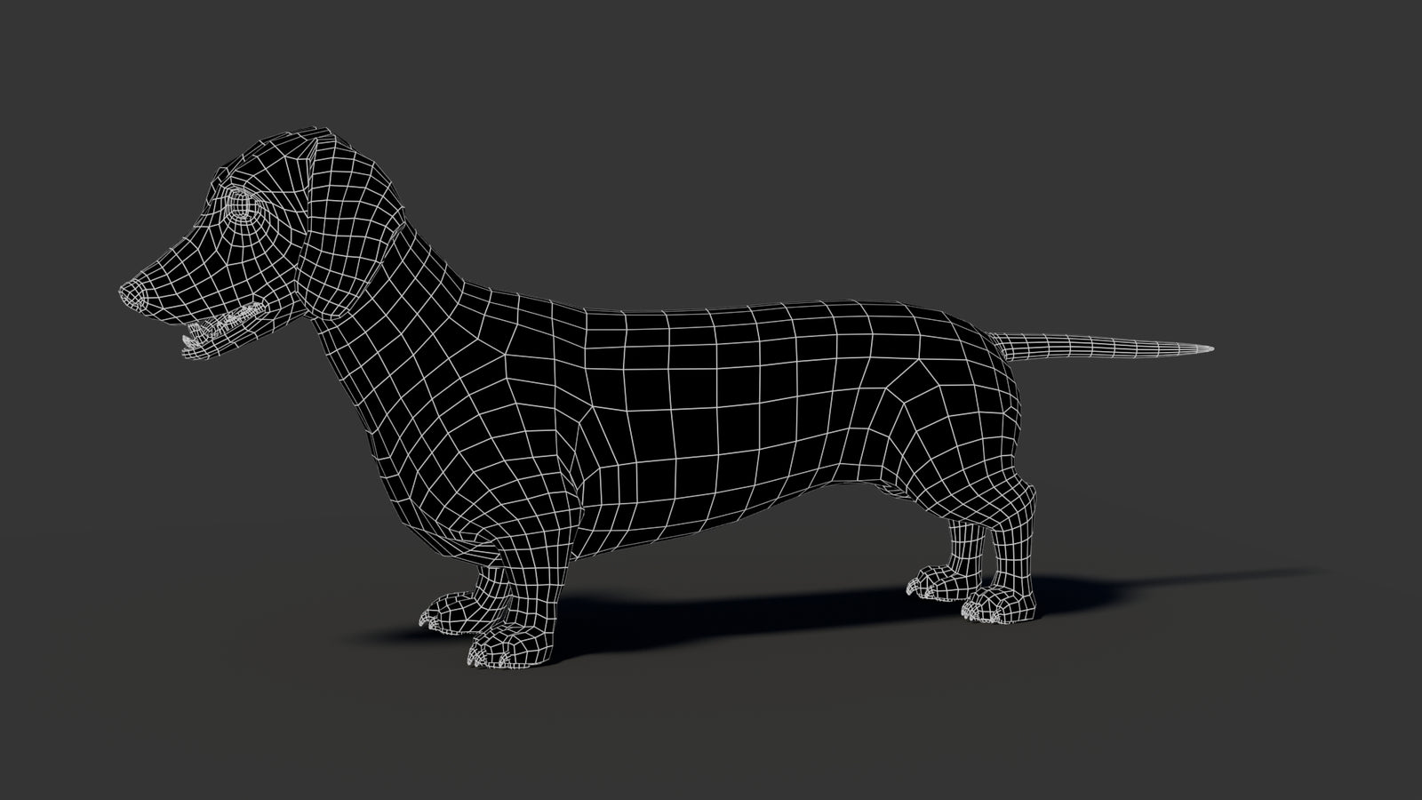 Black Dachshund Dog 3D Model 360° view 2 frame 2