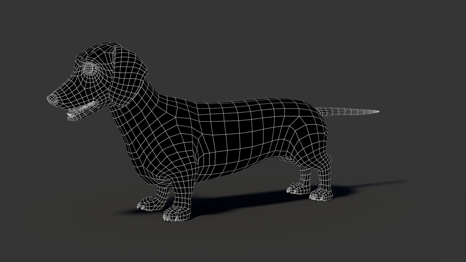 Black Dachshund Dog 3D Model 360° view 2 frame 3