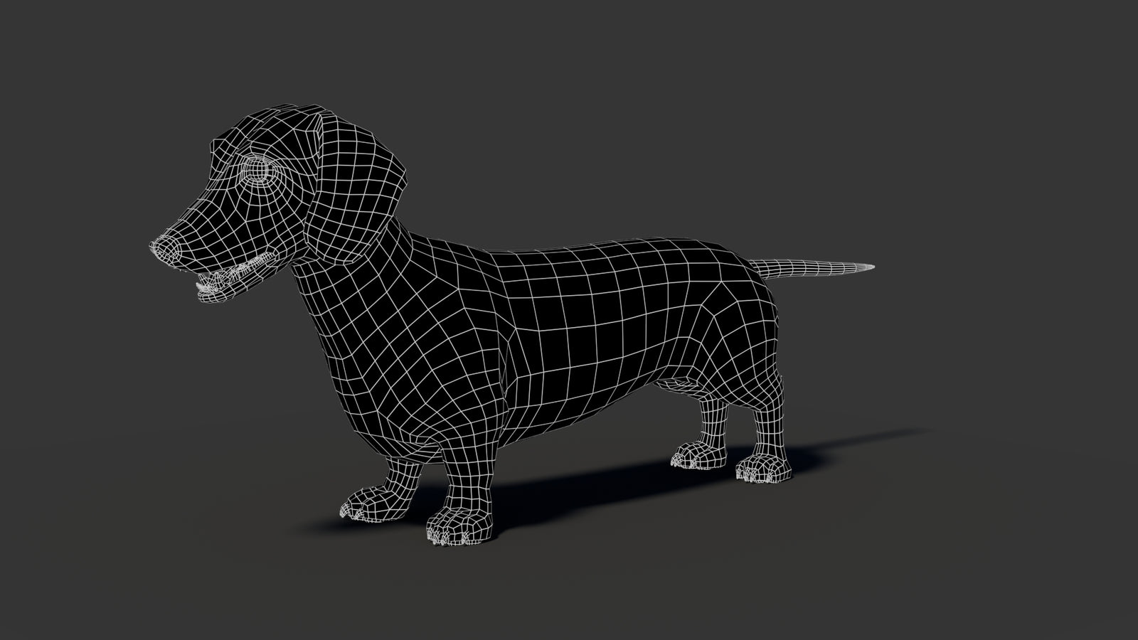 Black Dachshund Dog 3D Model 360° view 2 frame 4