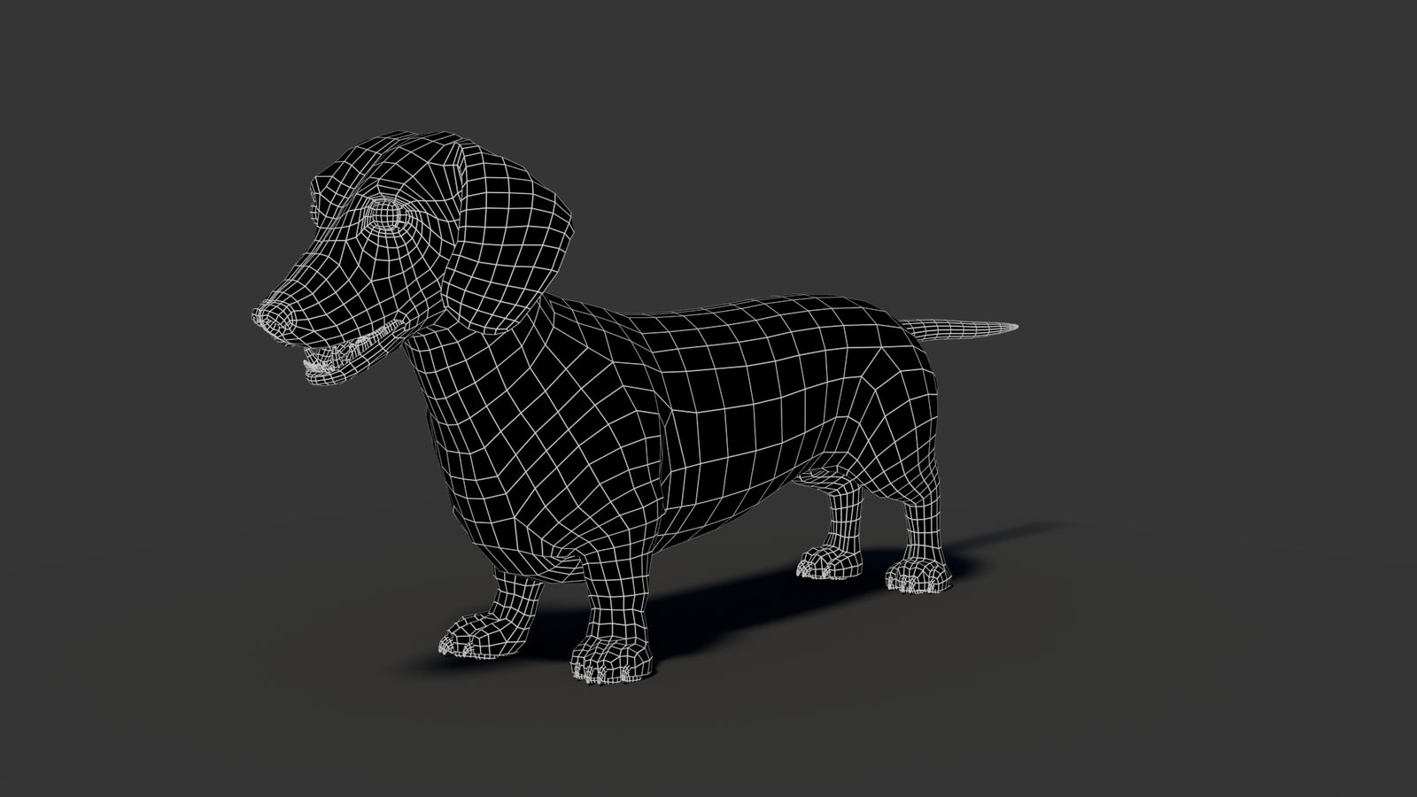 Black Dachshund Dog 3D Model 360° view 2 frame 5