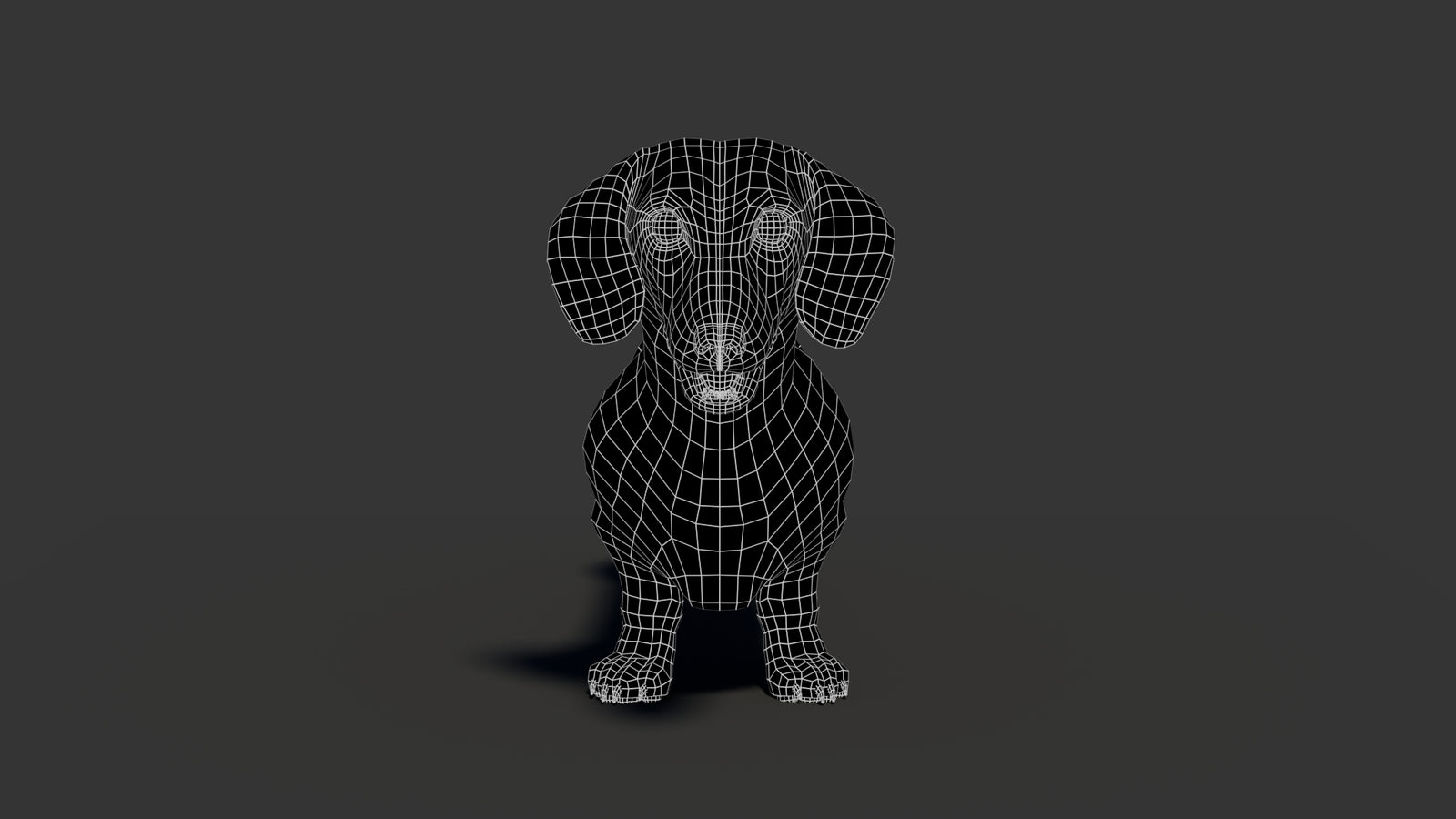 Black Dachshund Dog 3D Model 360° view 2 frame 9