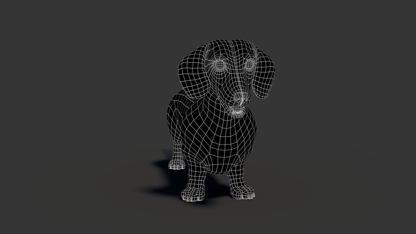 Black Dachshund Dog 3D Model 360° view 2 frame 10