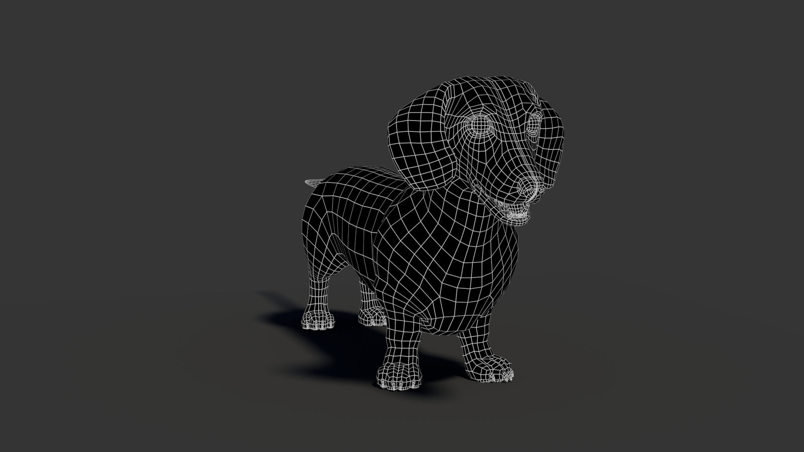 Black Dachshund Dog 3D Model 360° view 2 frame 11