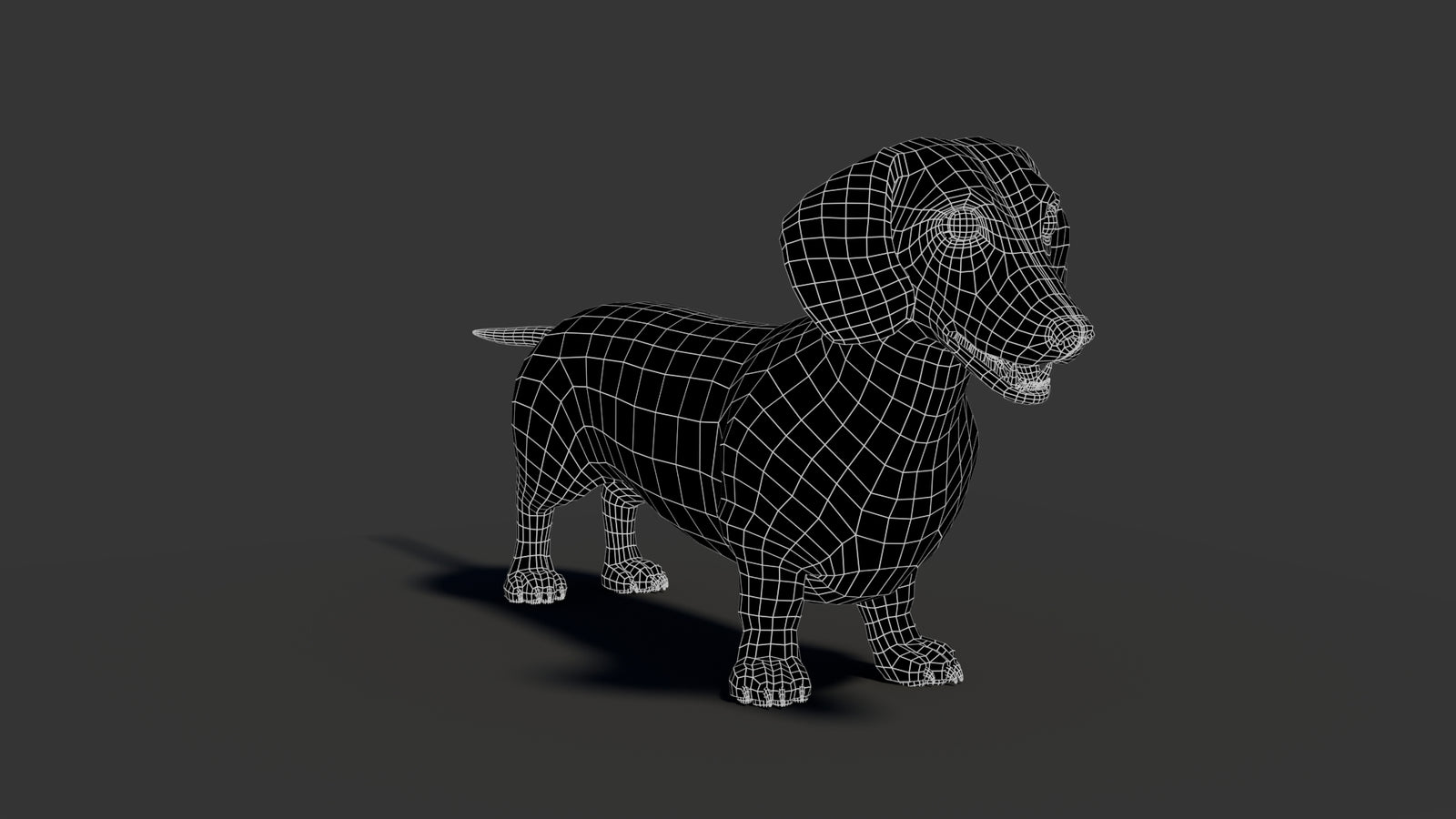 Black Dachshund Dog 3D Model 360° view 2 frame 12