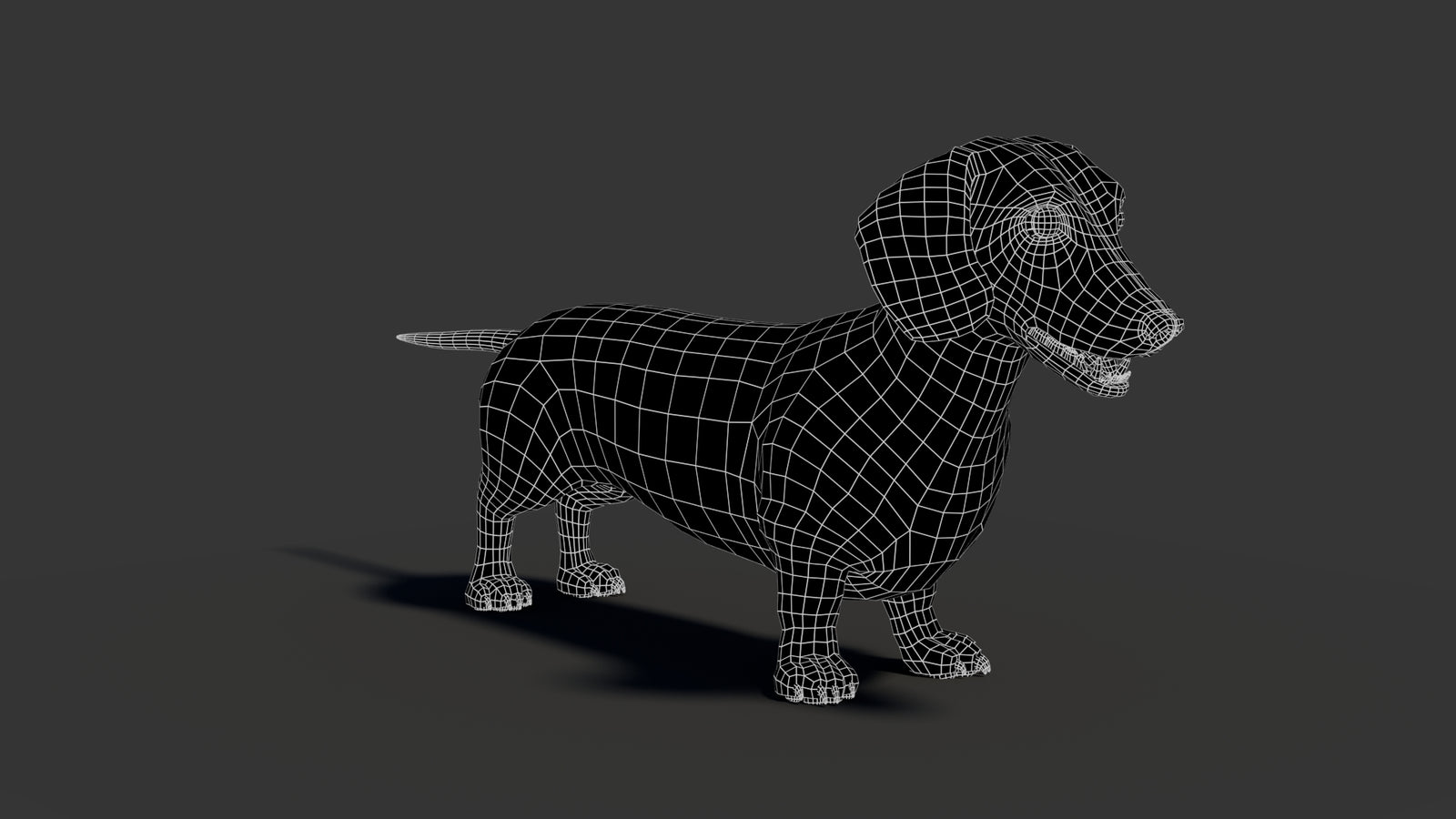 Black Dachshund Dog 3D Model 360° view 2 frame 13