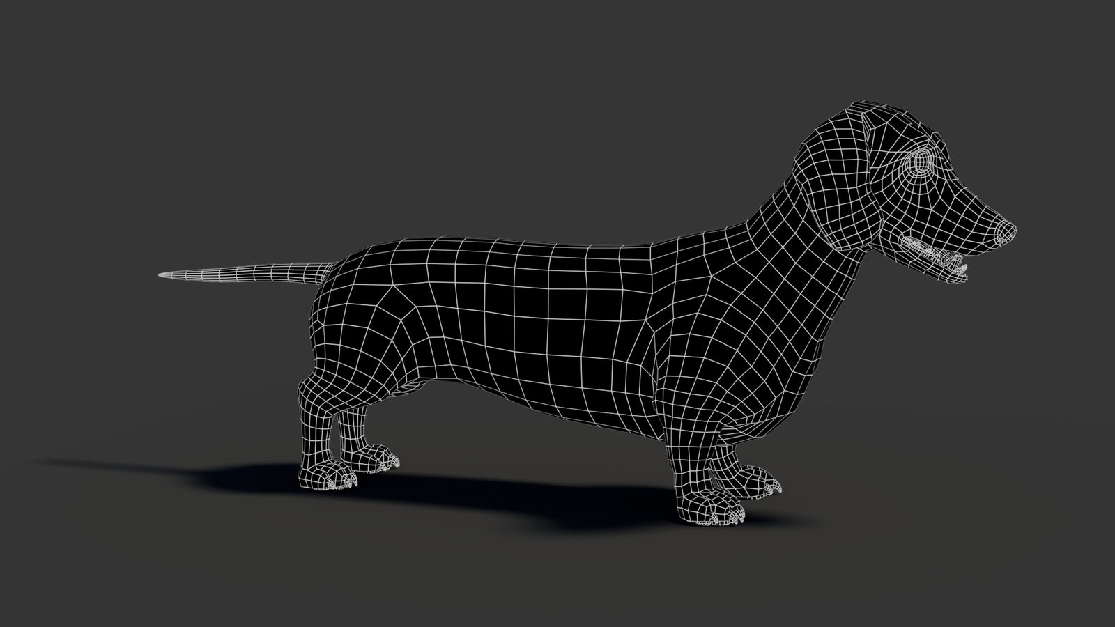 Black Dachshund Dog 3D Model 360° view 2 frame 16