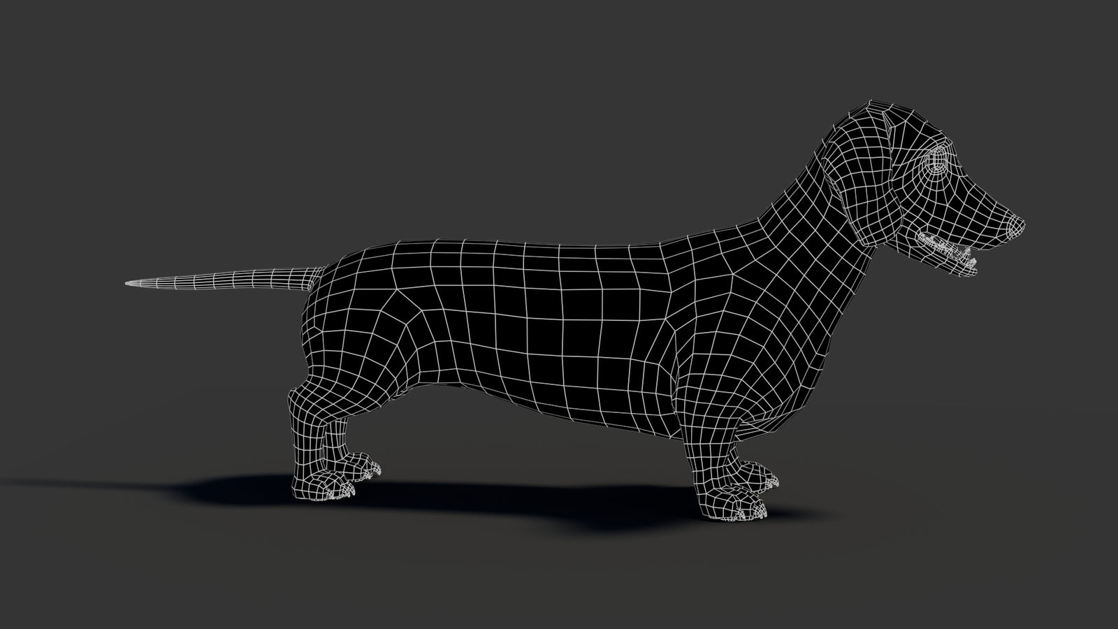 Black Dachshund Dog 3D Model 360° view 2 frame 17