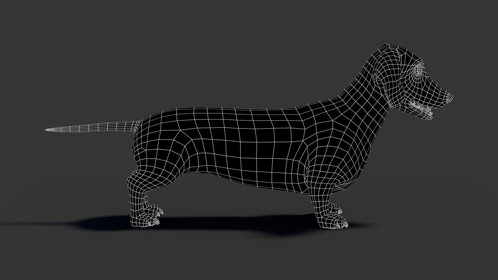 Black Dachshund Dog 3D Model 360° view 2 frame 18