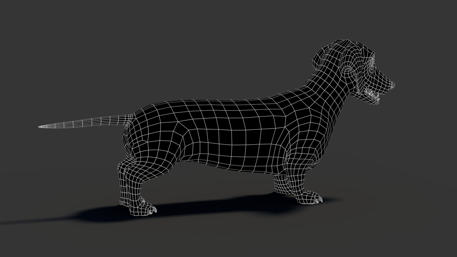 Black Dachshund Dog 3D Model 360° view 2 frame 20