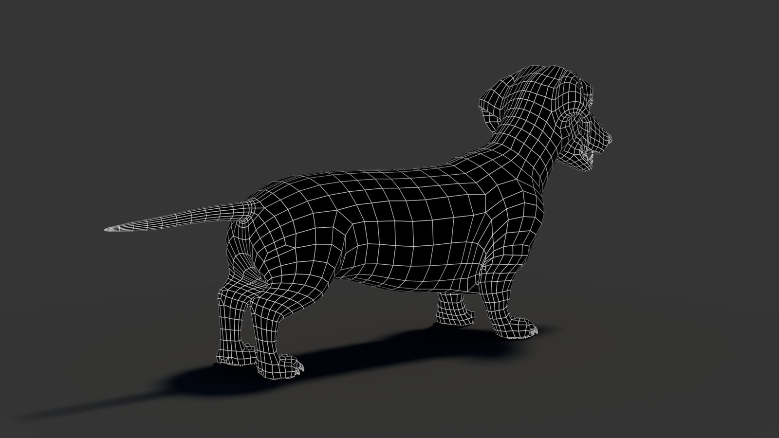Black Dachshund Dog 3D Model 360° view 2 frame 22
