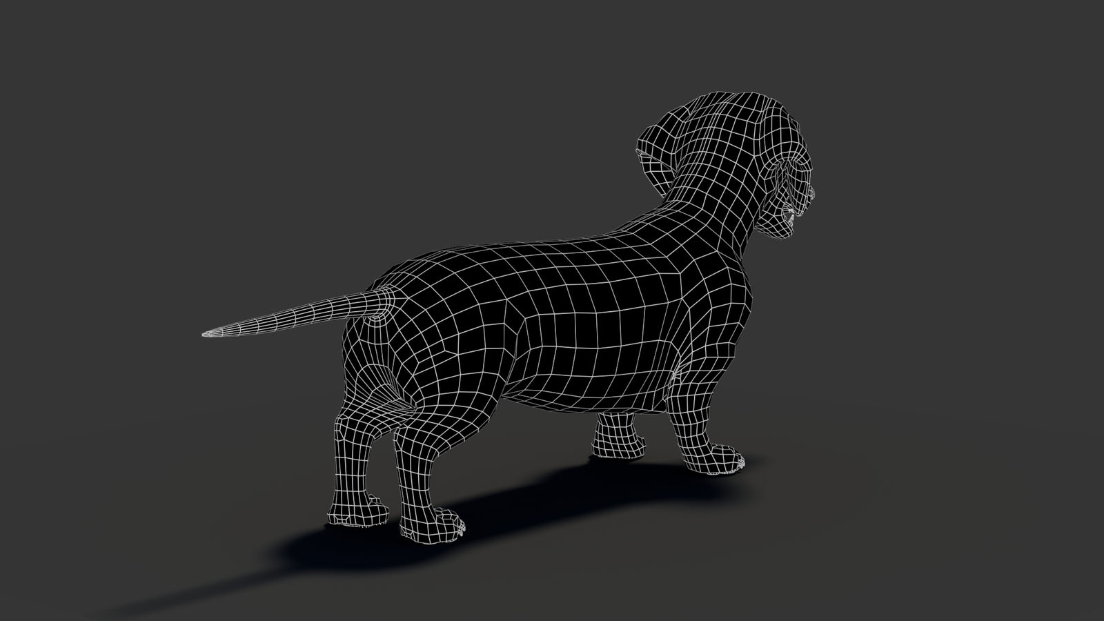 Black Dachshund Dog 3D Model 360° view 2 frame 23