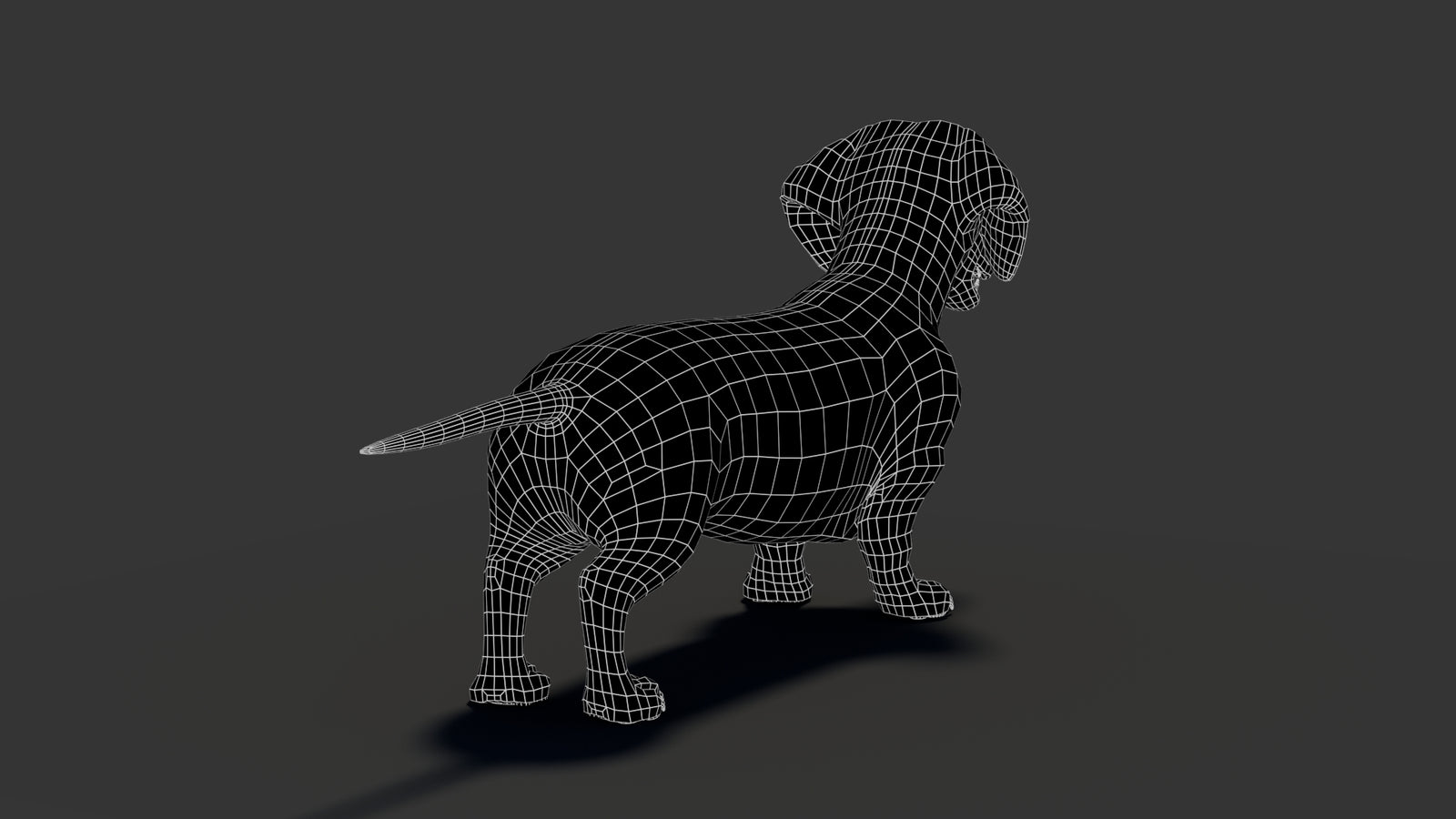 Black Dachshund Dog 3D Model 360° view 2 frame 24
