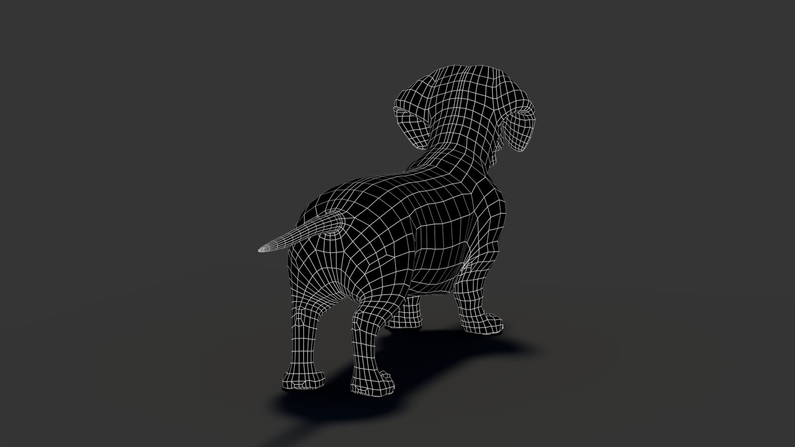 Black Dachshund Dog 3D Model 360° view 2 frame 25