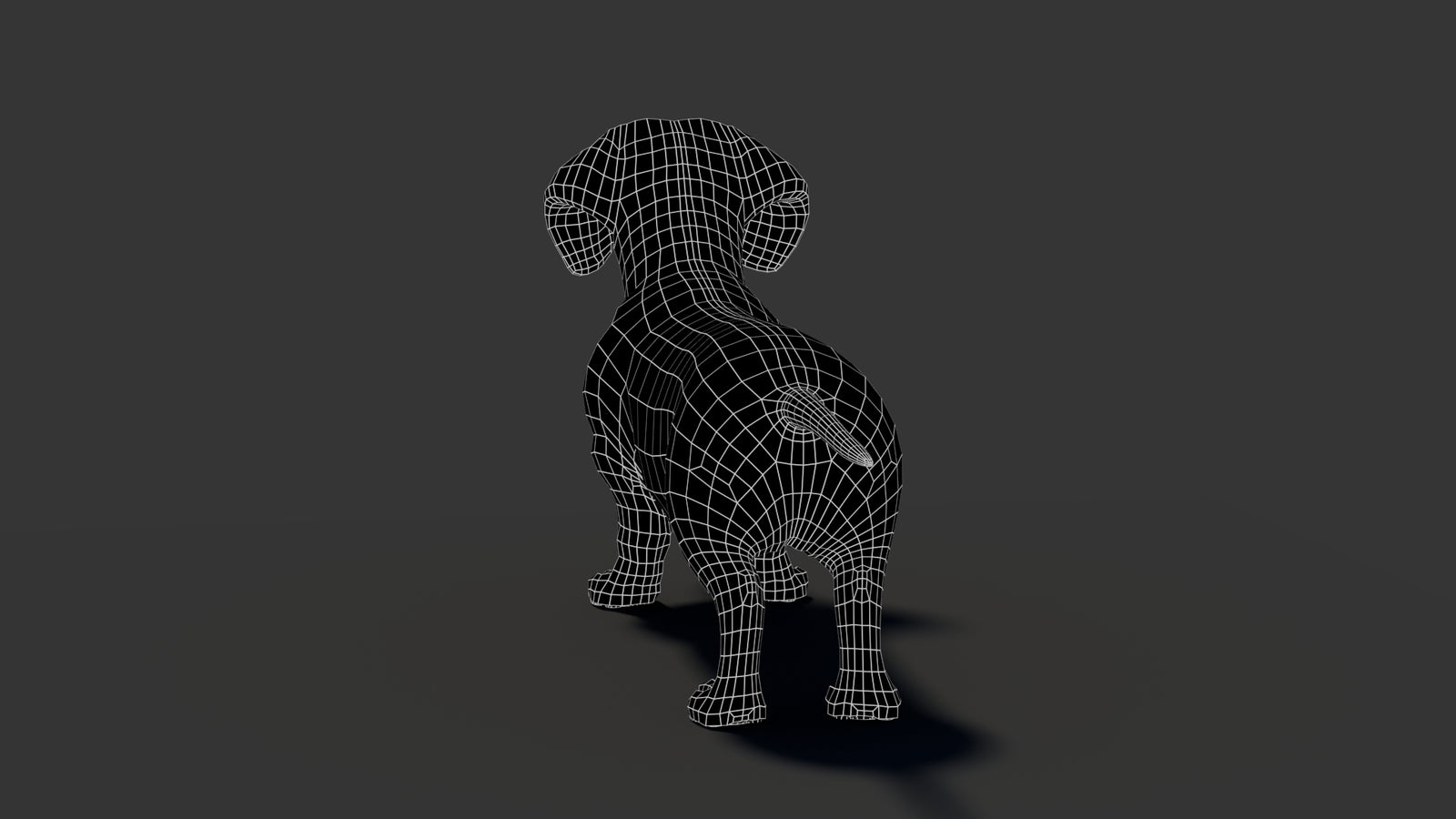 Black Dachshund Dog 3D Model 360° view 2 frame 28