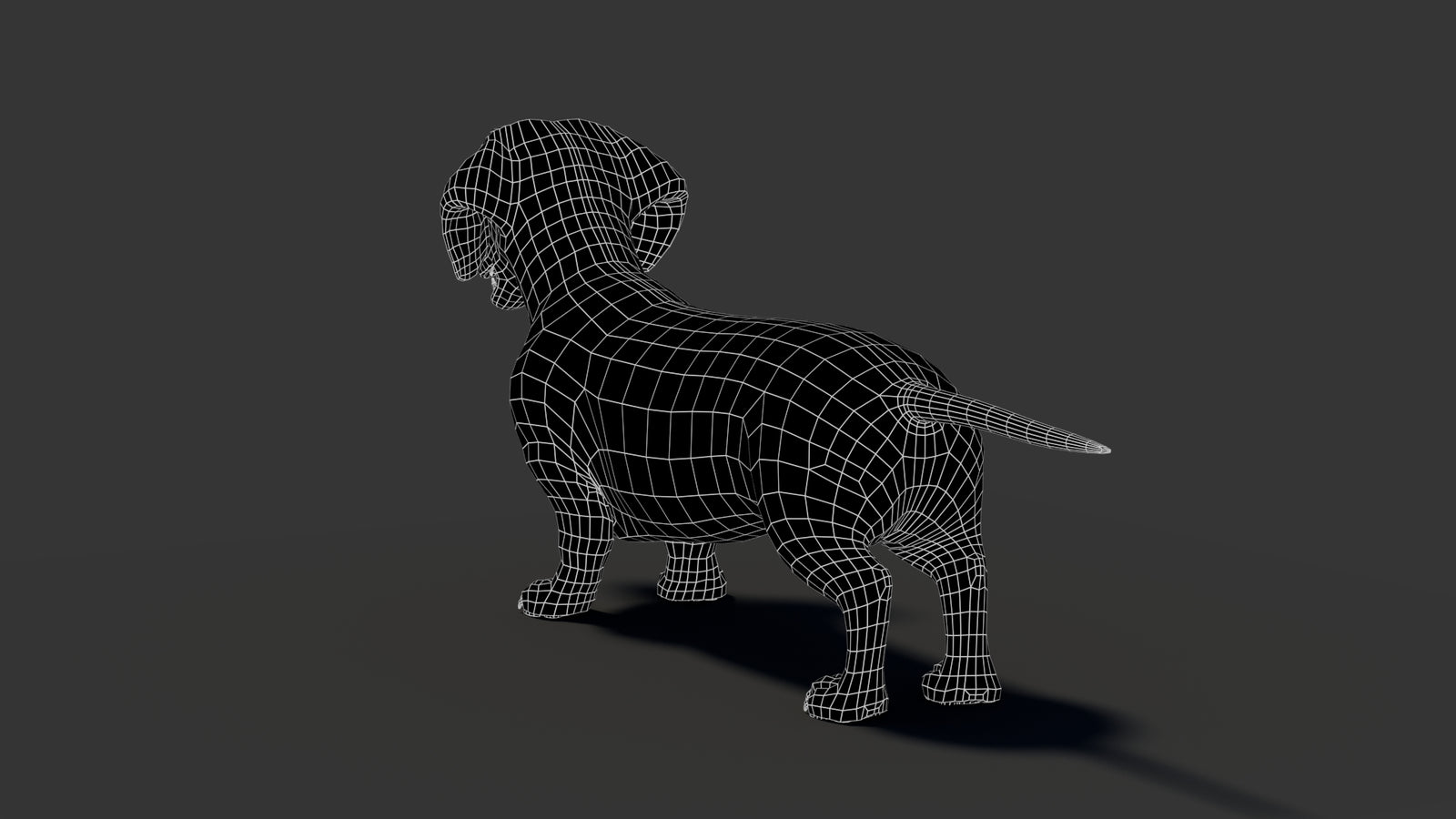Black Dachshund Dog 3D Model 360° view 2 frame 30
