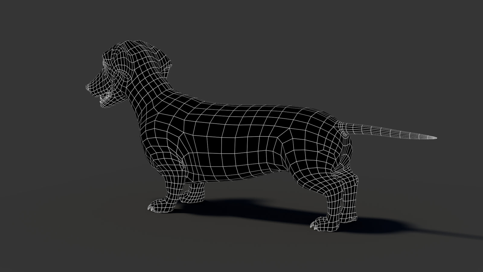 Black Dachshund Dog 3D Model 360° view 2 frame 33