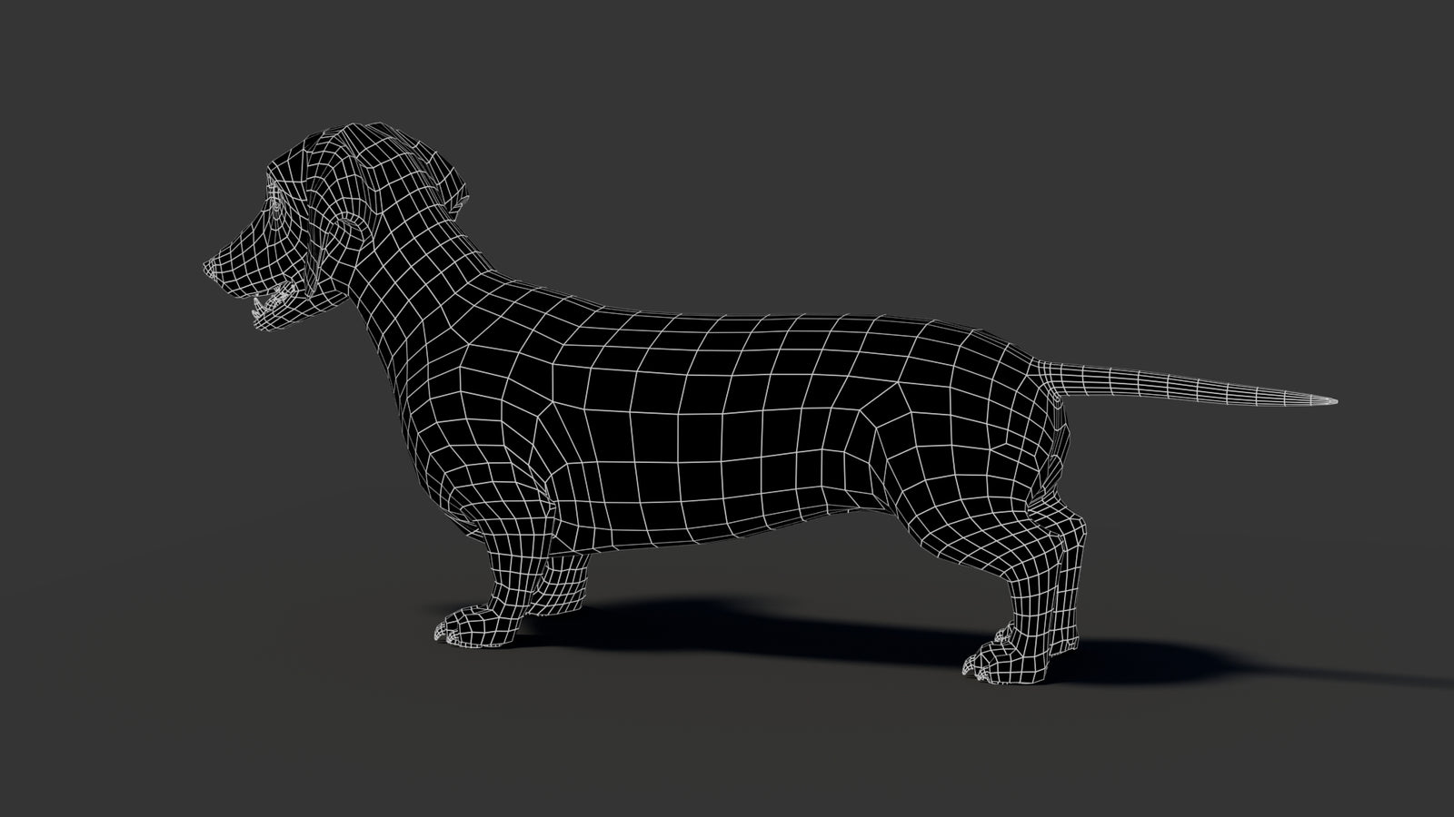 Black Dachshund Dog 3D Model 360° view 2 frame 34