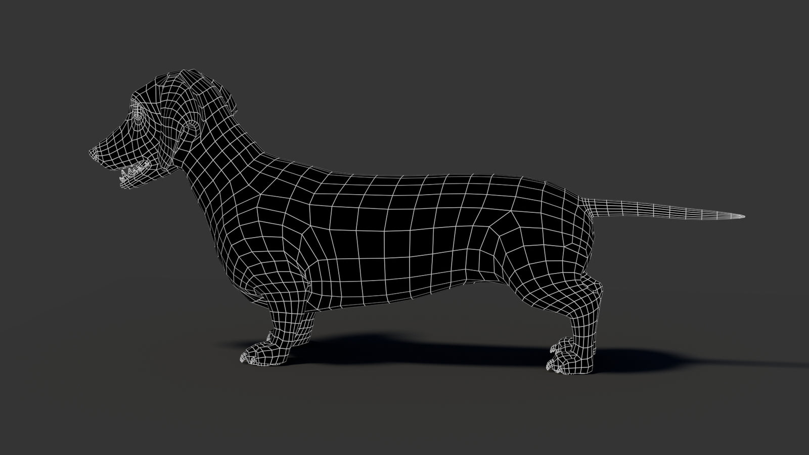 Black Dachshund Dog 3D Model 360° view 2 frame 35