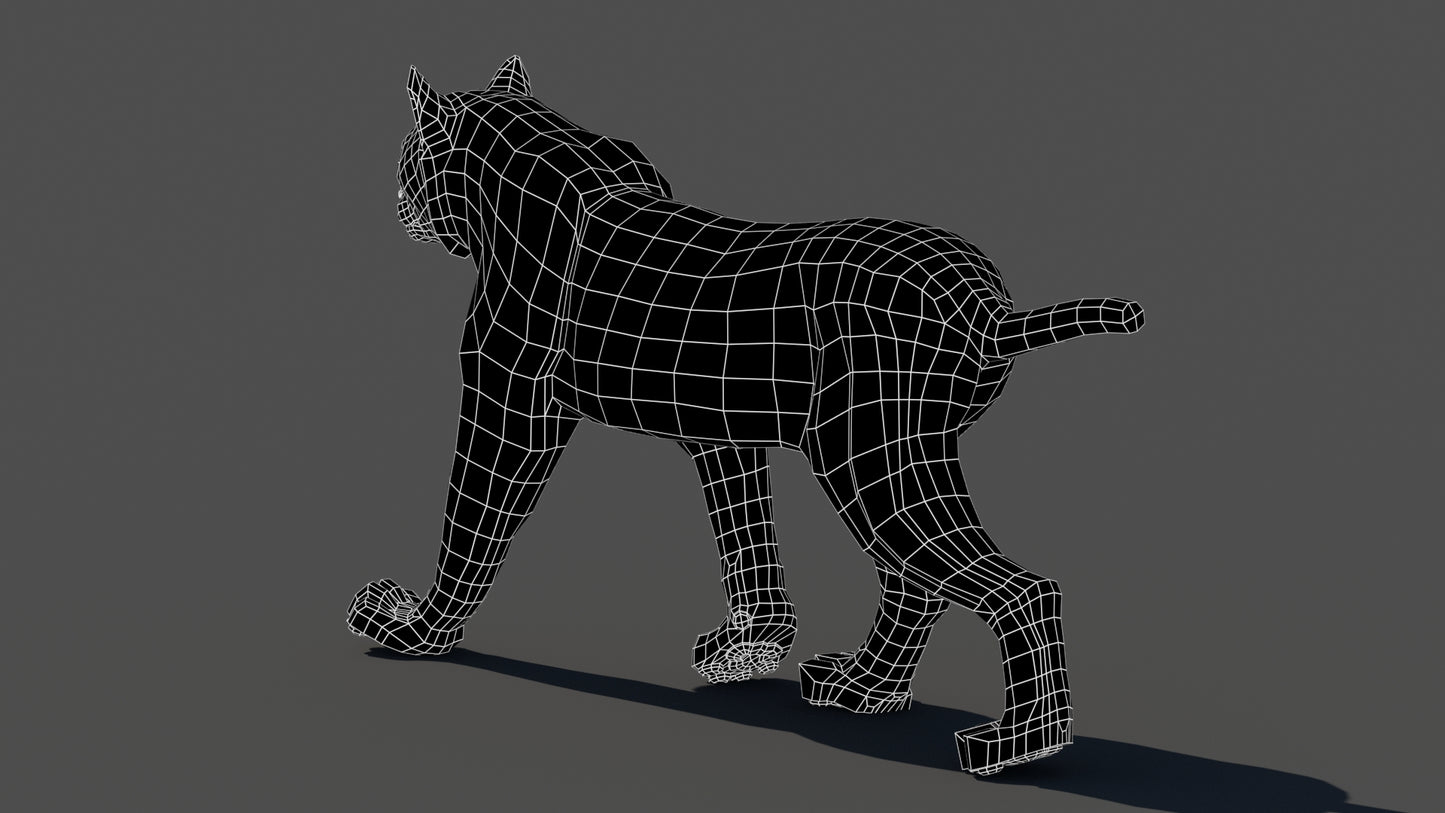 Tufted‑Ear Wildcats 3D Bundle — Caracal & Lynx (Rigged, Animated)