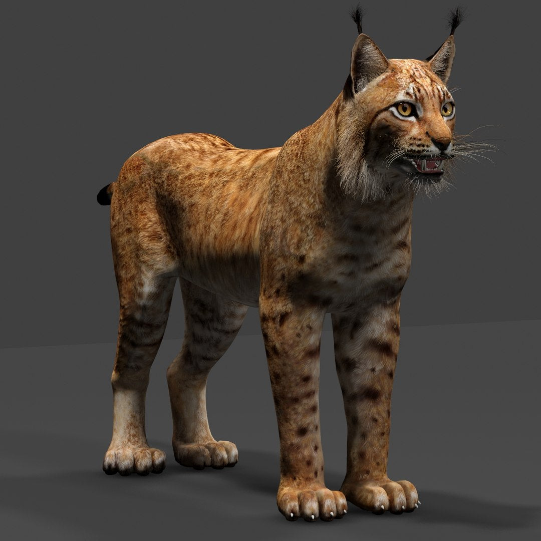 3D rendering of a lynx on a dark background