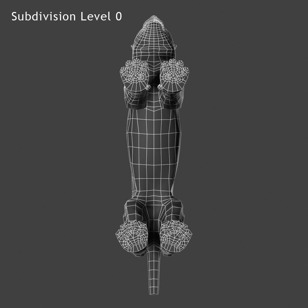 Eurasian Lynx 3D Model