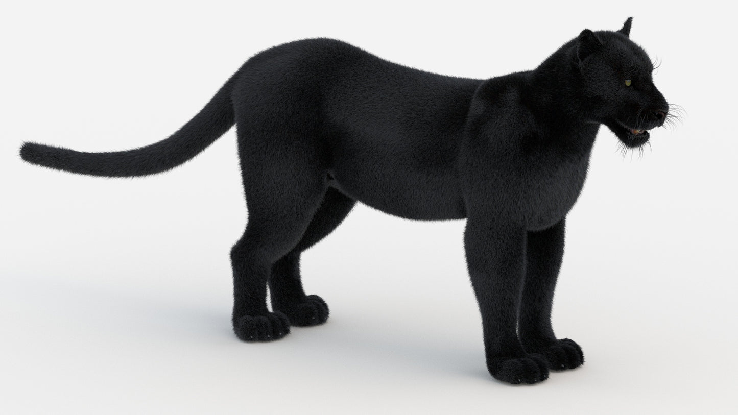 Black Panther 3D Model Fur