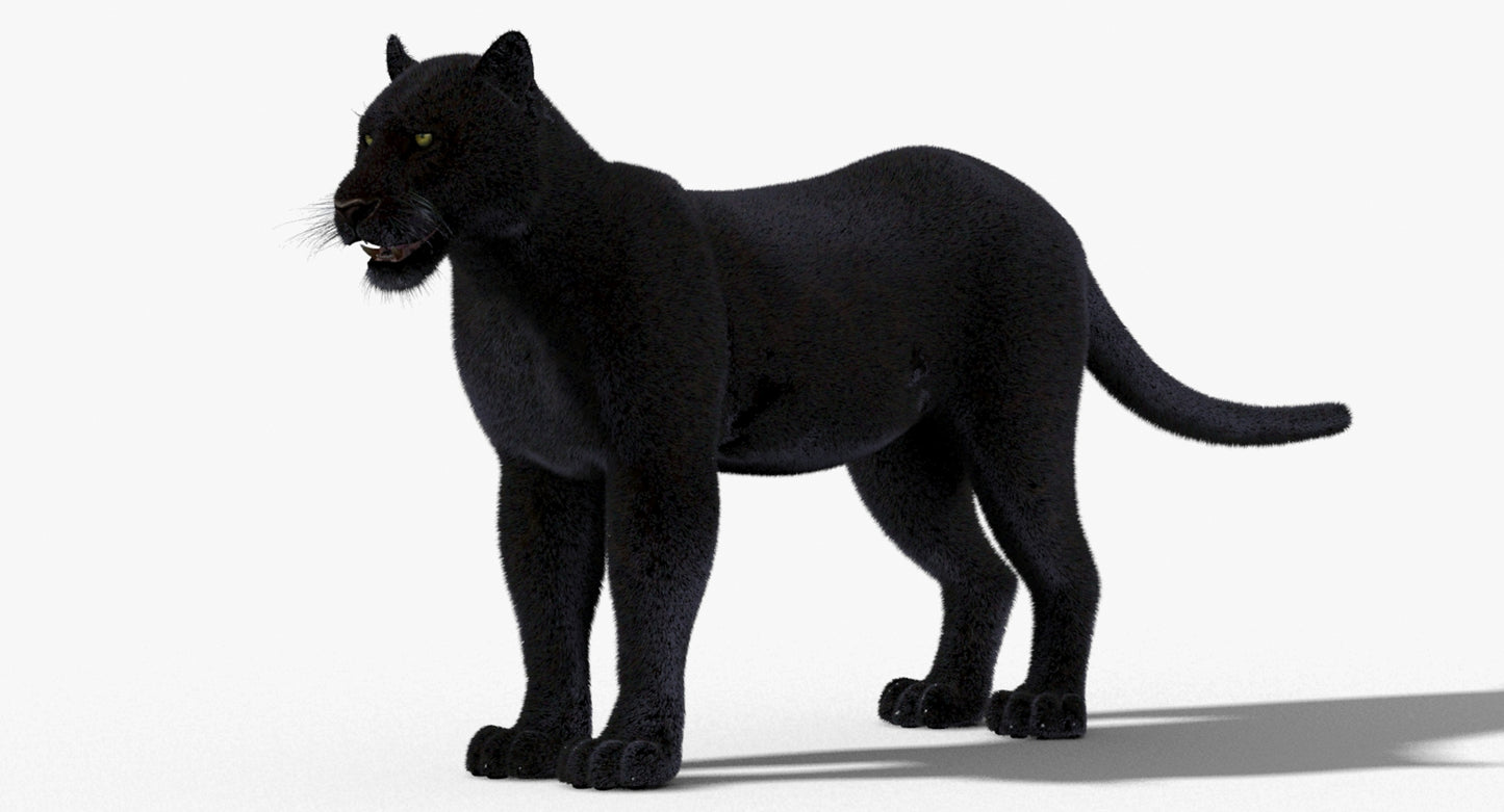 Black Panther 3D Model Fur