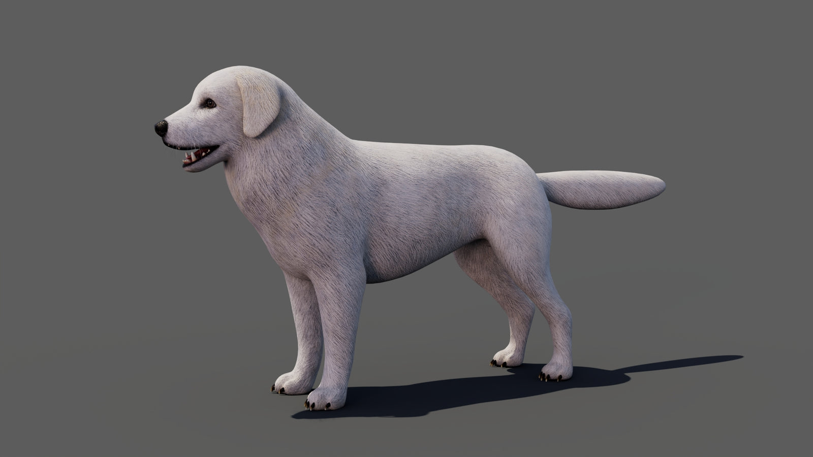 Great Pyrenees Dog 3D Model 360° view 1 frame 3