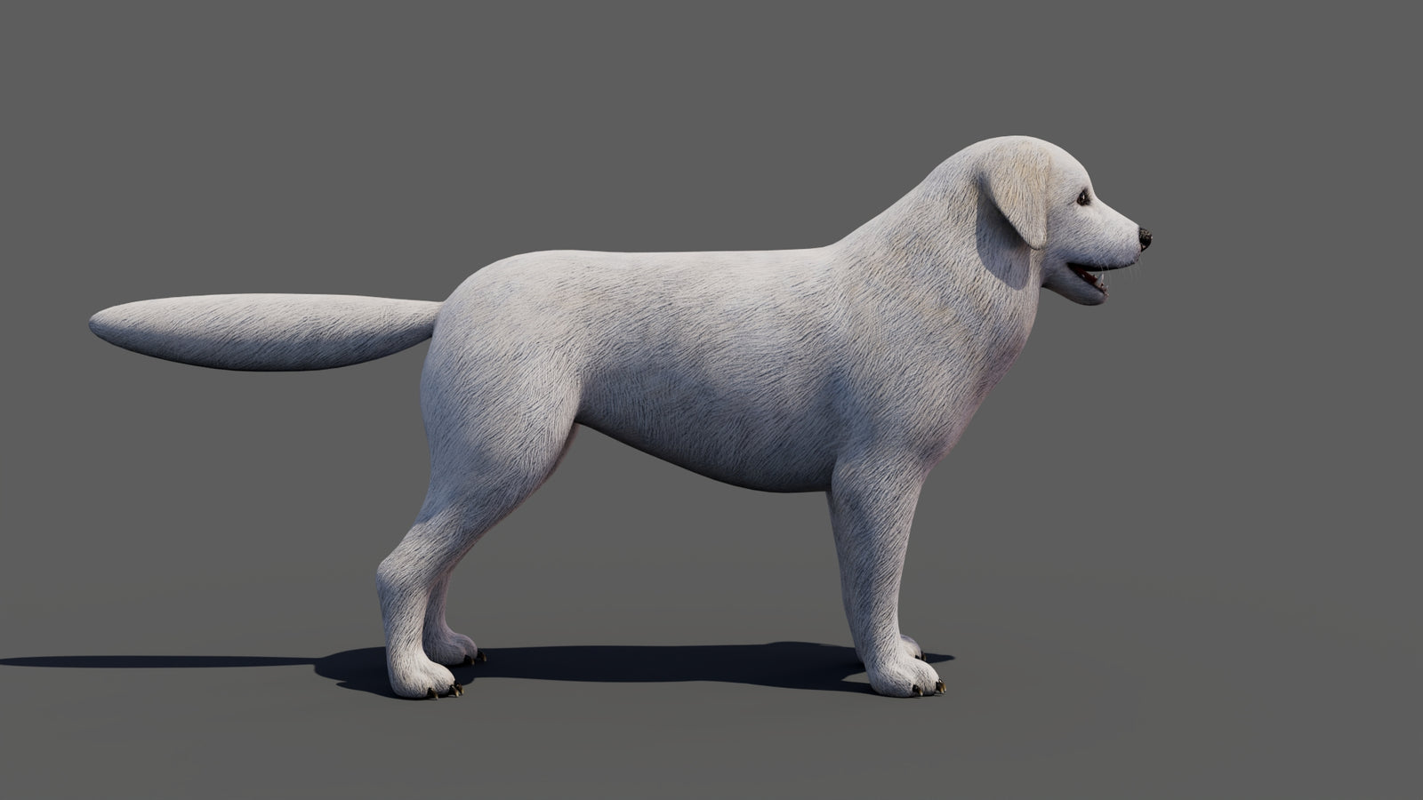 Great Pyrenees Dog 3D Model 360° view 1 frame 18