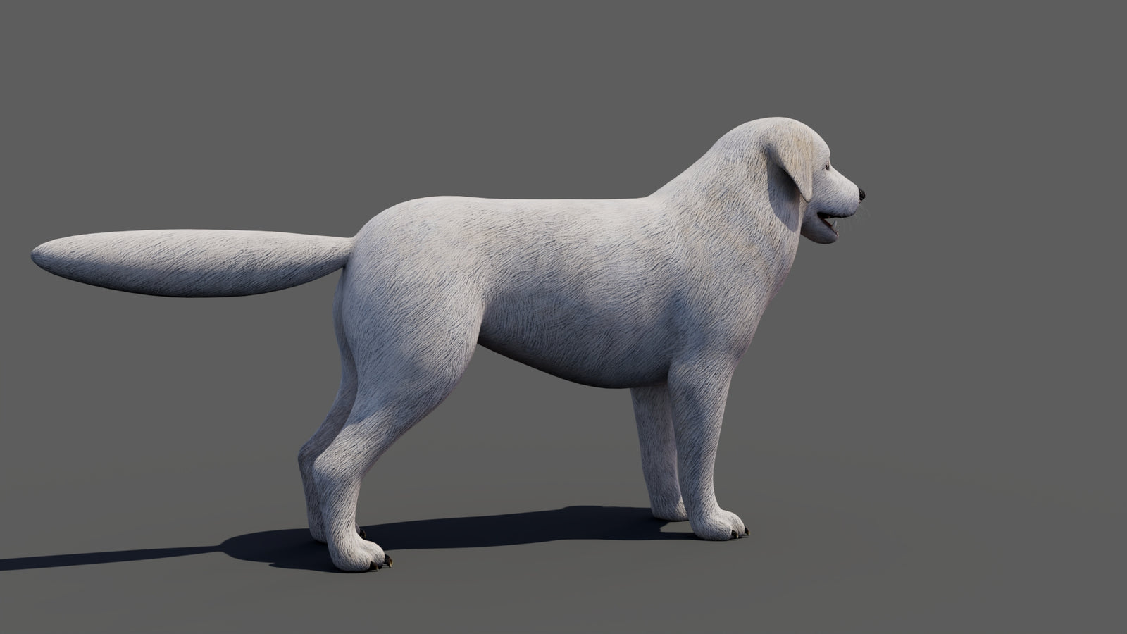 Great Pyrenees Dog 3D Model 360° view 1 frame 20
