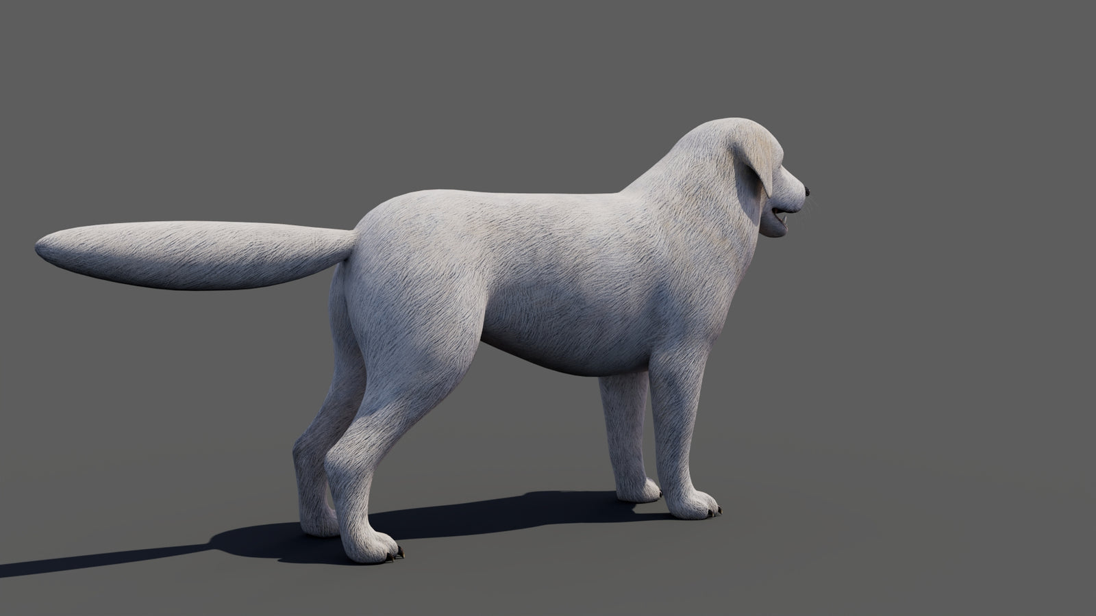 Great Pyrenees Dog 3D Model 360° view 1 frame 21